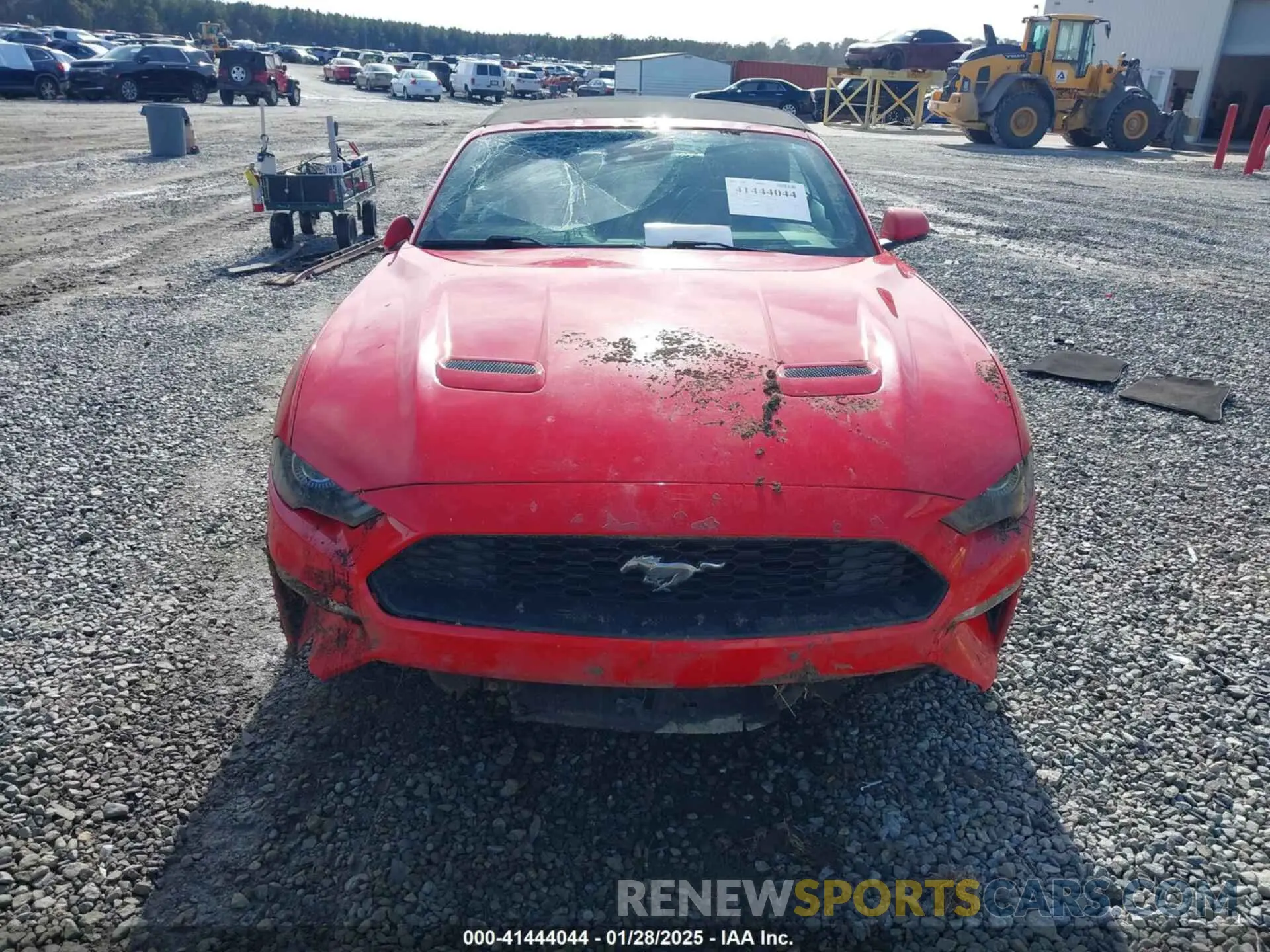 12 Photograph of a damaged car 1FATP8UH3K5159551 FORD MUSTANG 2019