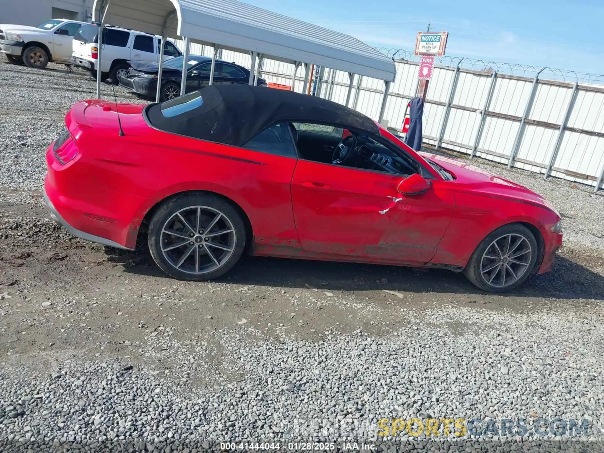 13 Photograph of a damaged car 1FATP8UH3K5159551 FORD MUSTANG 2019
