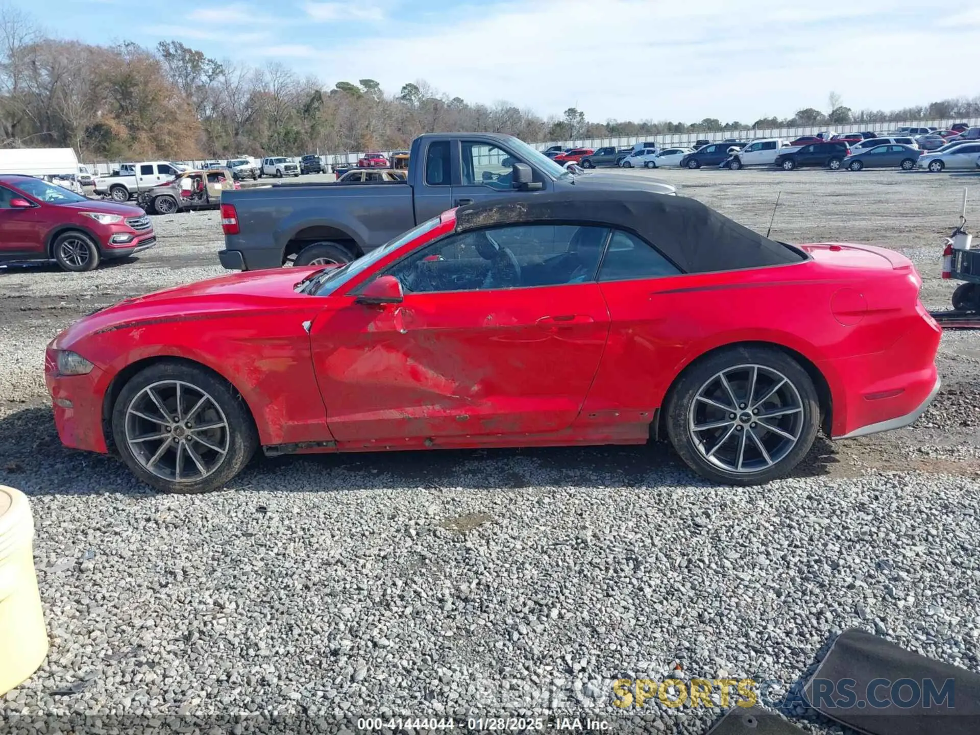 14 Photograph of a damaged car 1FATP8UH3K5159551 FORD MUSTANG 2019