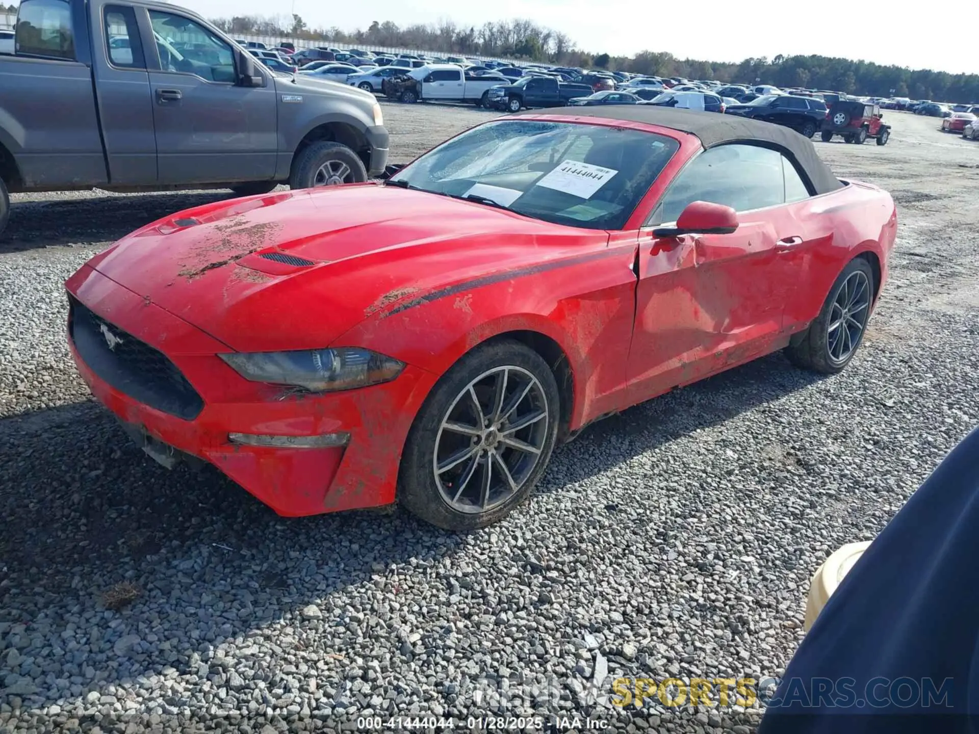 2 Photograph of a damaged car 1FATP8UH3K5159551 FORD MUSTANG 2019
