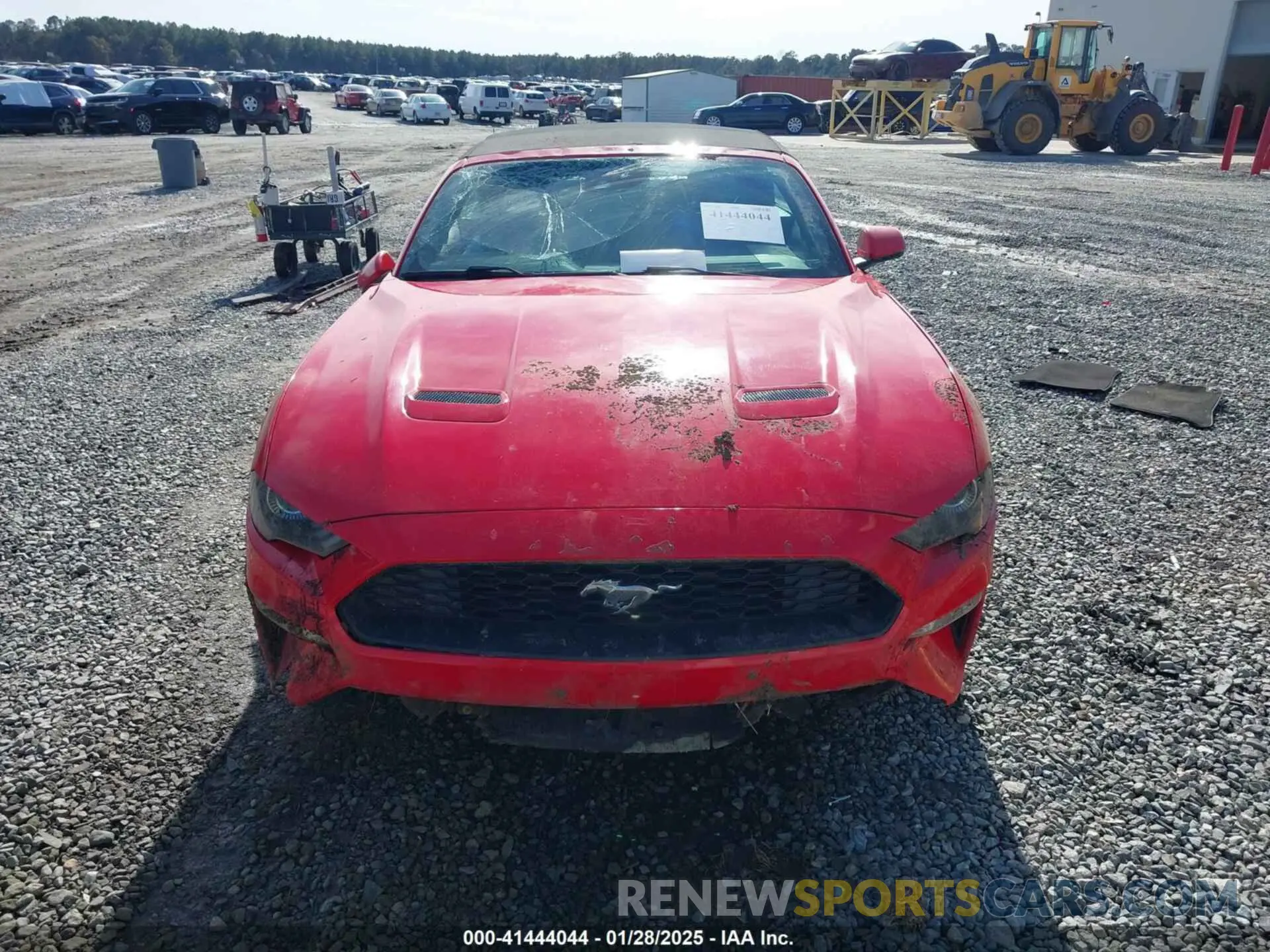 6 Photograph of a damaged car 1FATP8UH3K5159551 FORD MUSTANG 2019