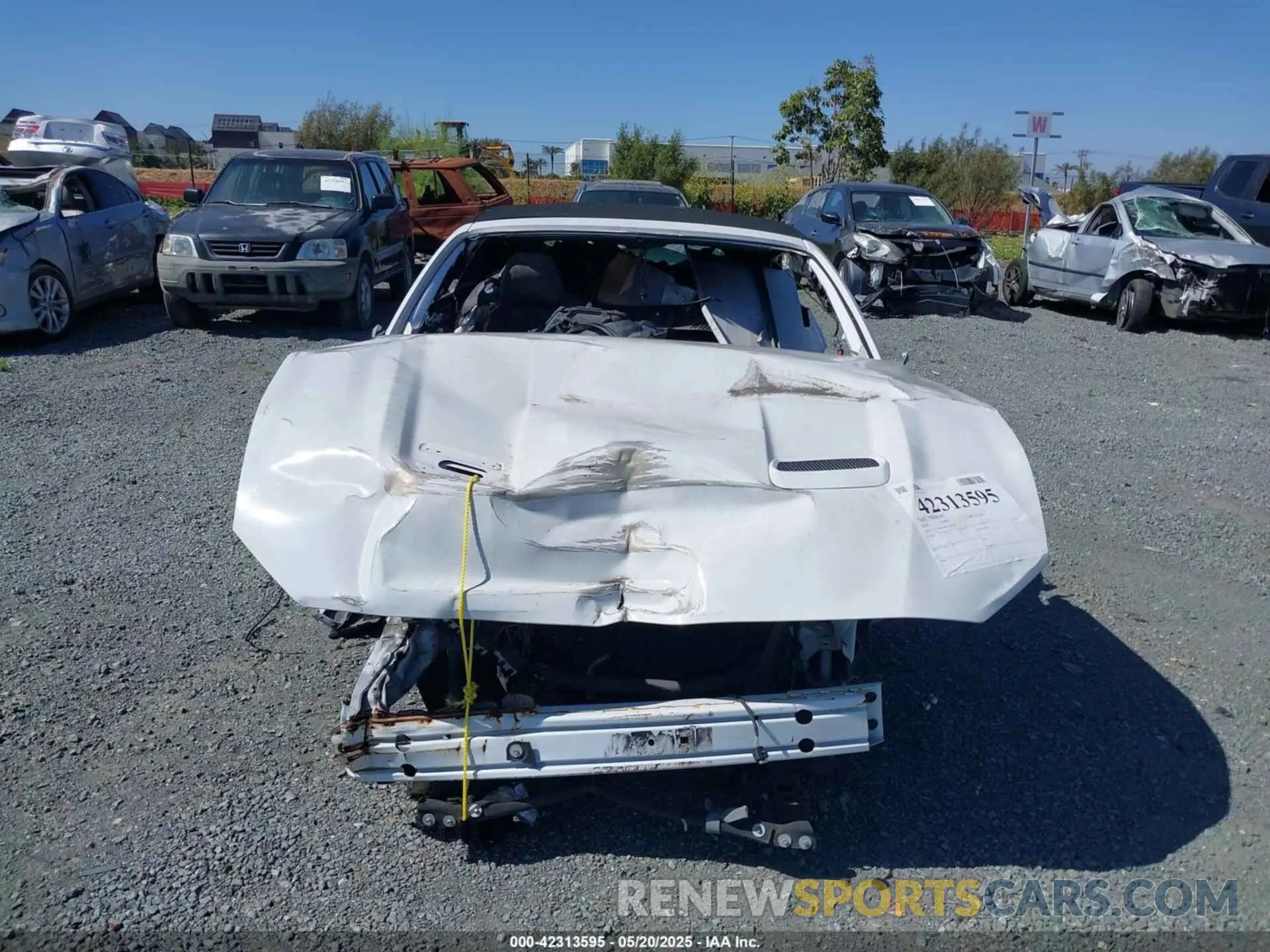 11 Photograph of a damaged car 1FATP8UH4K5109225 FORD MUSTANG 2019