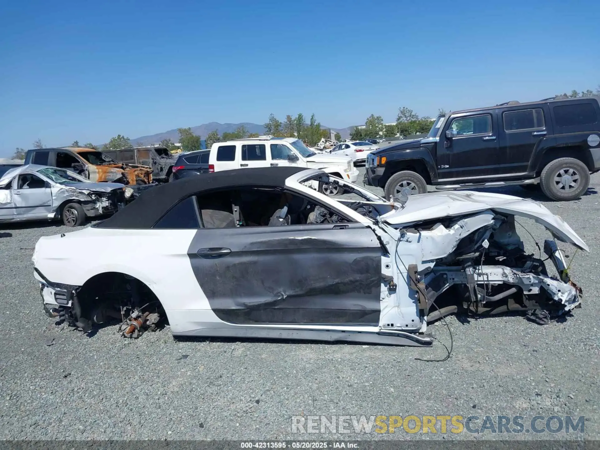 12 Photograph of a damaged car 1FATP8UH4K5109225 FORD MUSTANG 2019