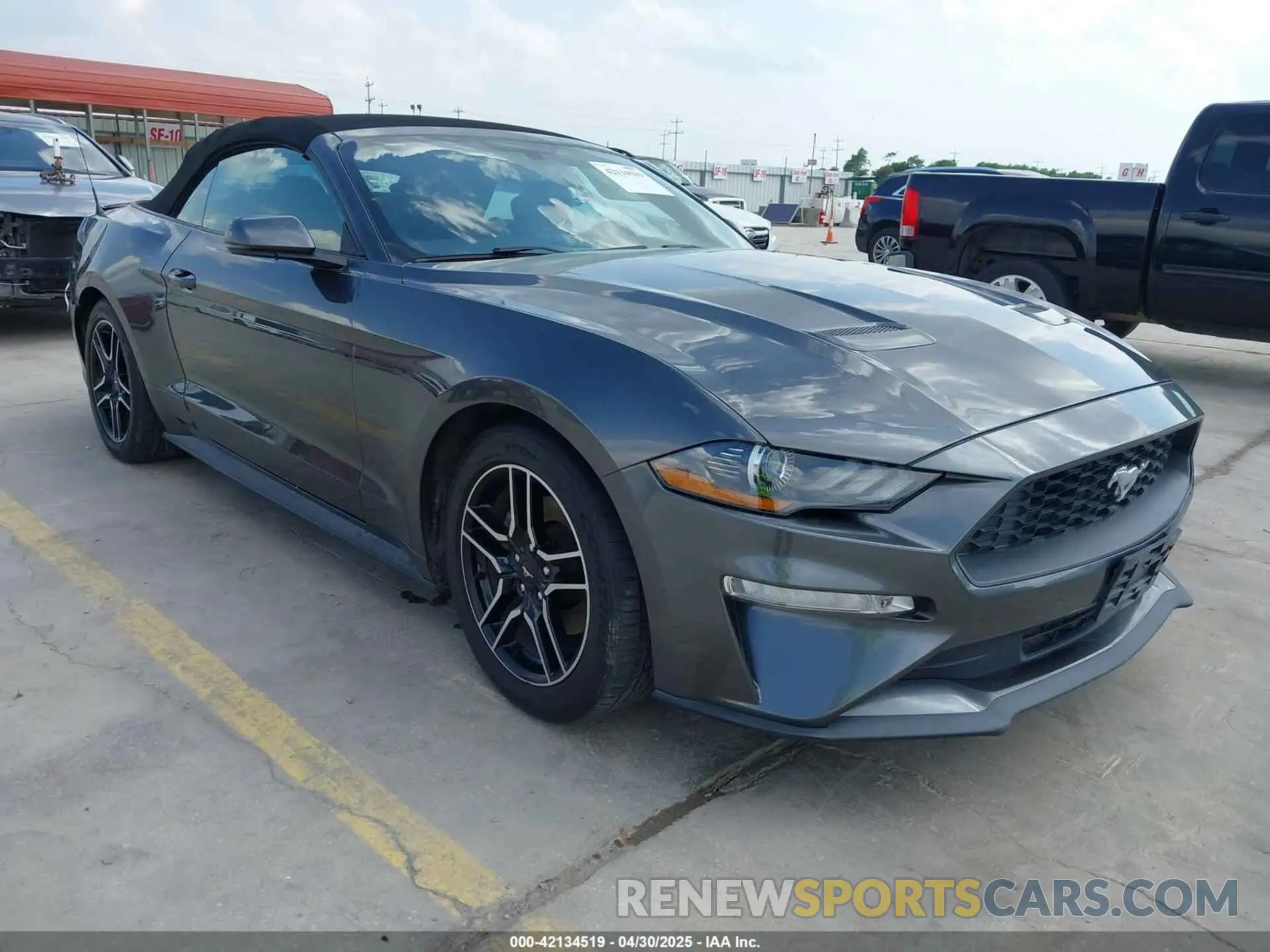 1 Photograph of a damaged car 1FATP8UH4K5161454 FORD MUSTANG 2019