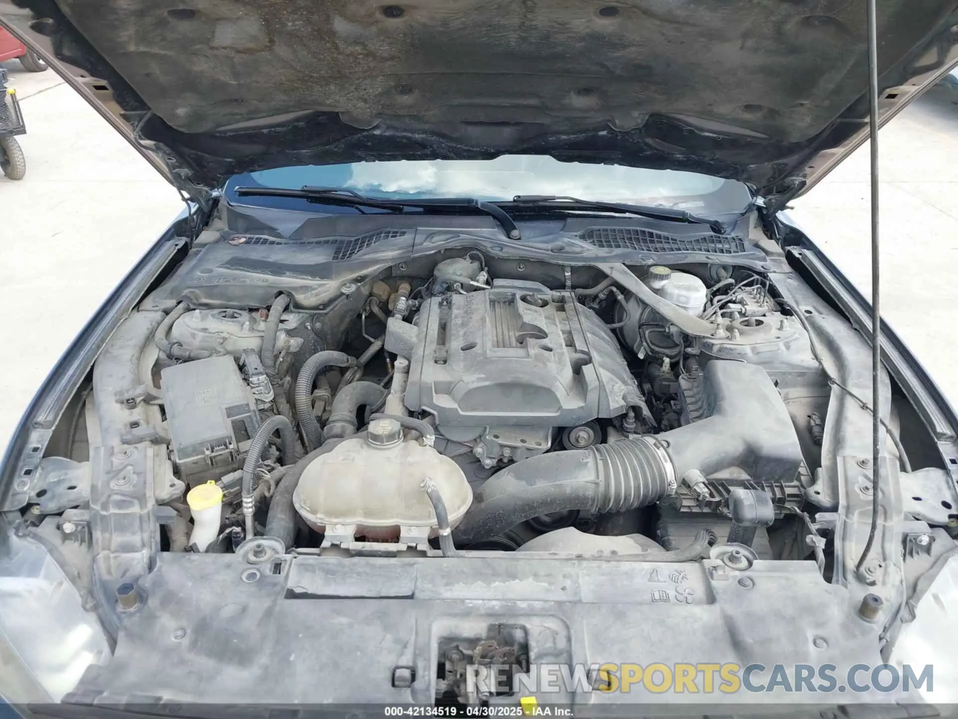 10 Photograph of a damaged car 1FATP8UH4K5161454 FORD MUSTANG 2019