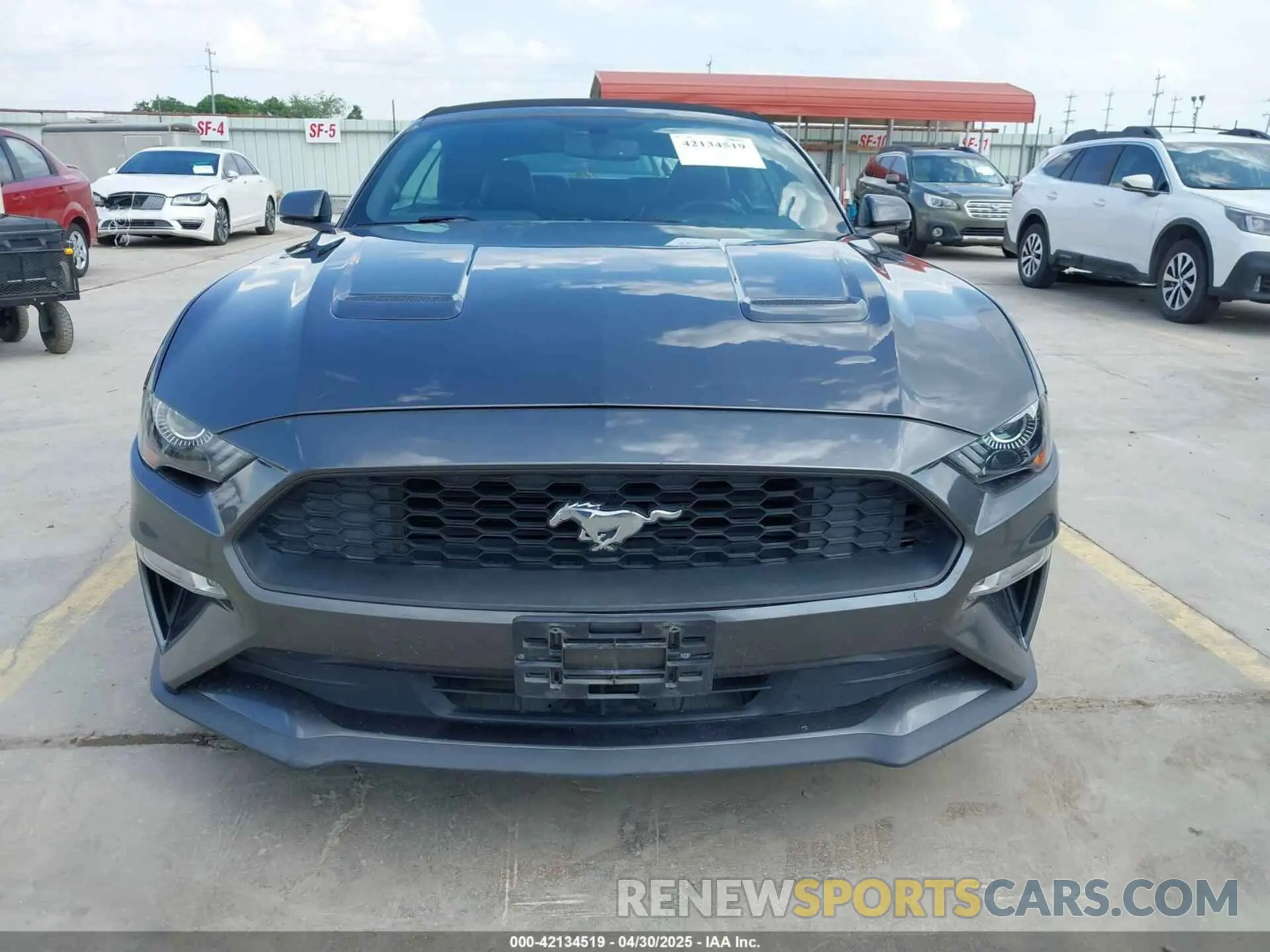 12 Photograph of a damaged car 1FATP8UH4K5161454 FORD MUSTANG 2019