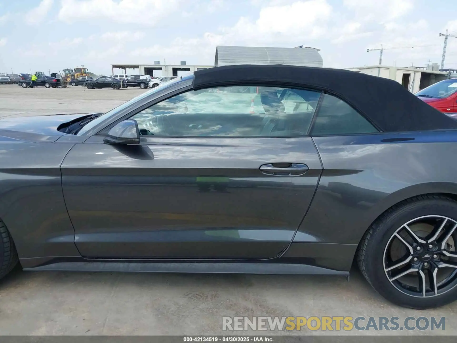 14 Photograph of a damaged car 1FATP8UH4K5161454 FORD MUSTANG 2019
