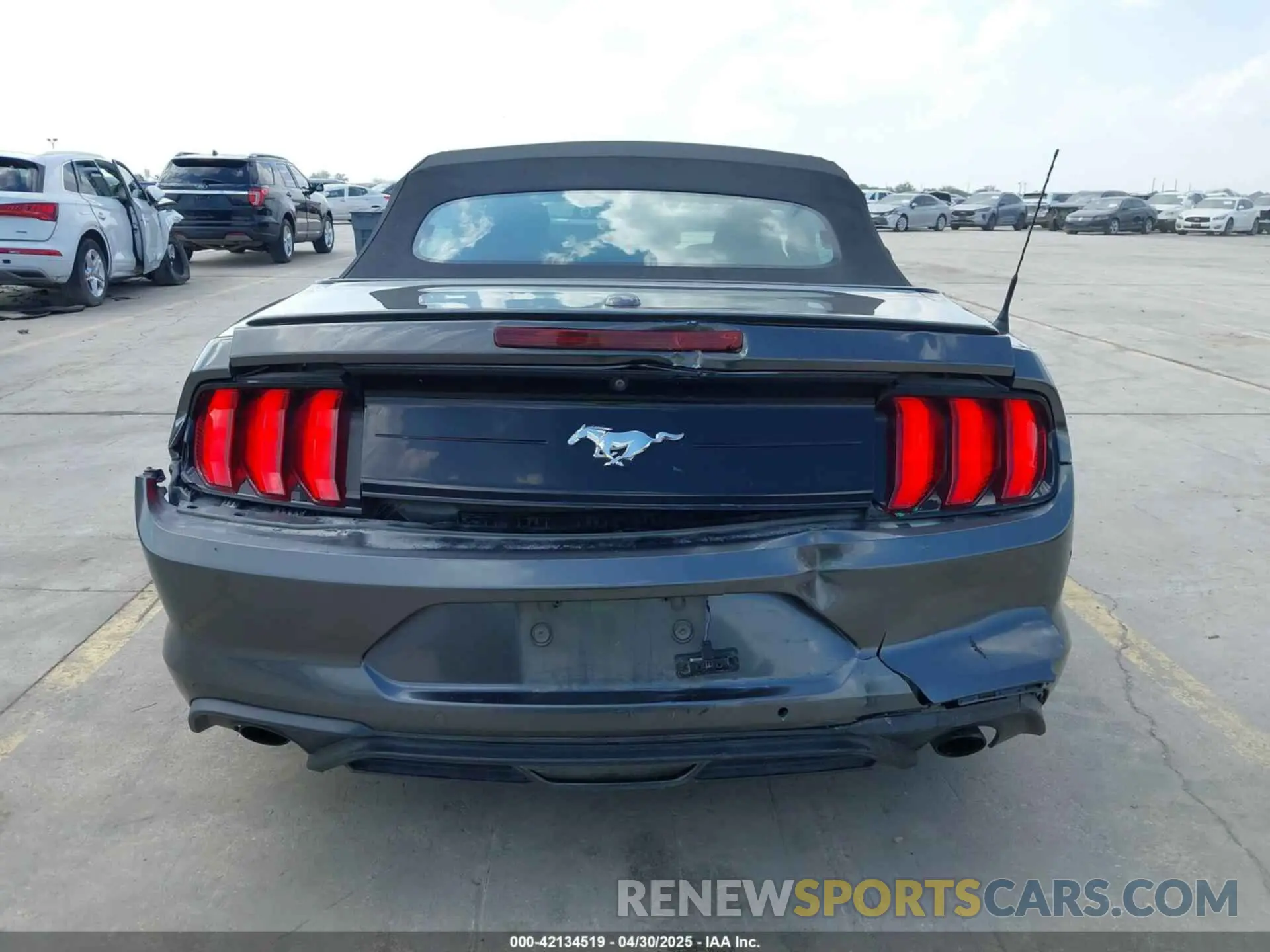 16 Photograph of a damaged car 1FATP8UH4K5161454 FORD MUSTANG 2019