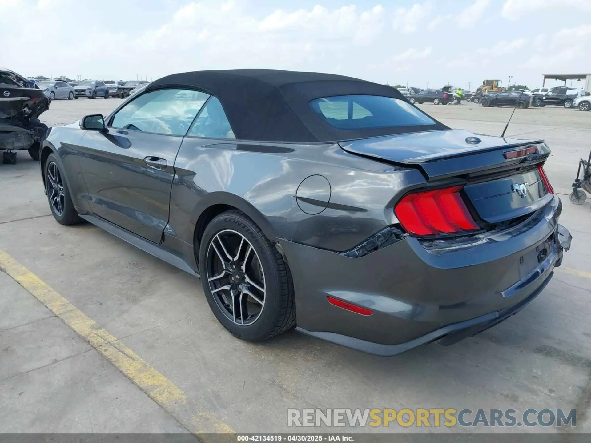 3 Photograph of a damaged car 1FATP8UH4K5161454 FORD MUSTANG 2019