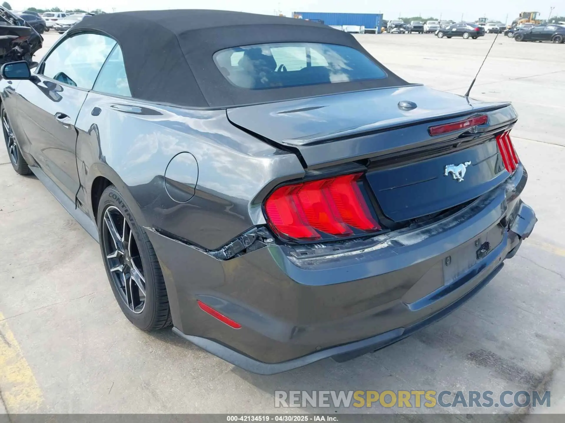 6 Photograph of a damaged car 1FATP8UH4K5161454 FORD MUSTANG 2019