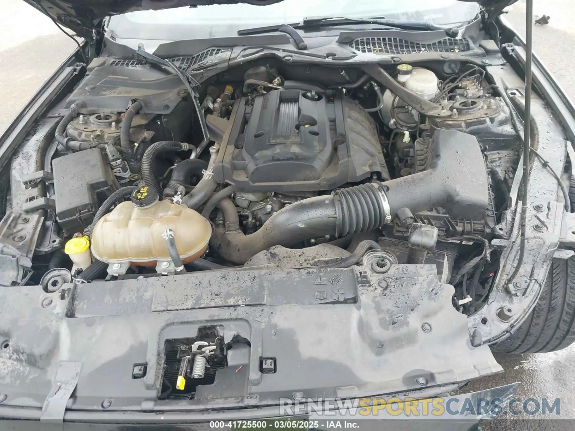 10 Photograph of a damaged car 1FATP8UH6K5109002 FORD MUSTANG 2019