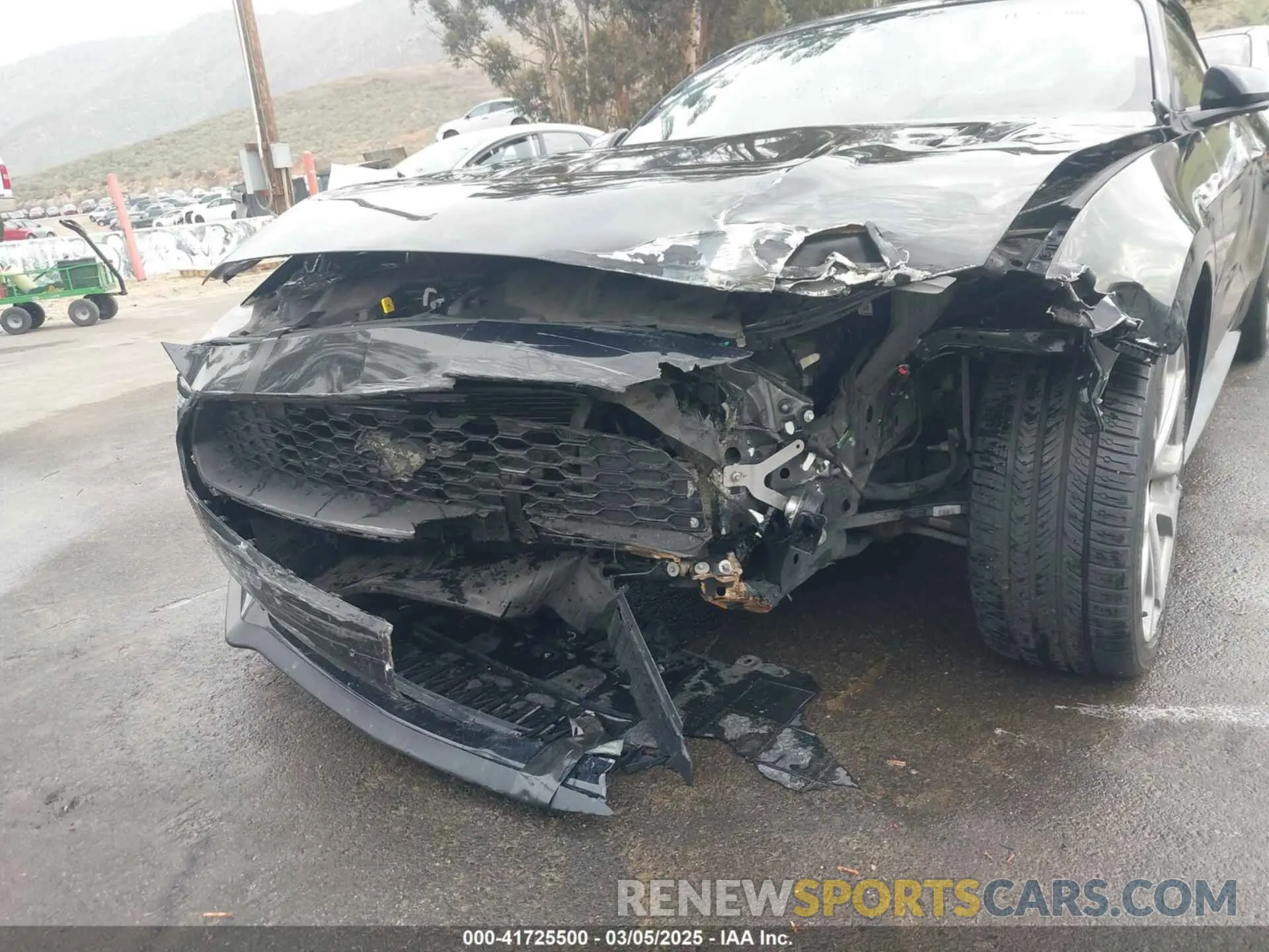 11 Photograph of a damaged car 1FATP8UH6K5109002 FORD MUSTANG 2019