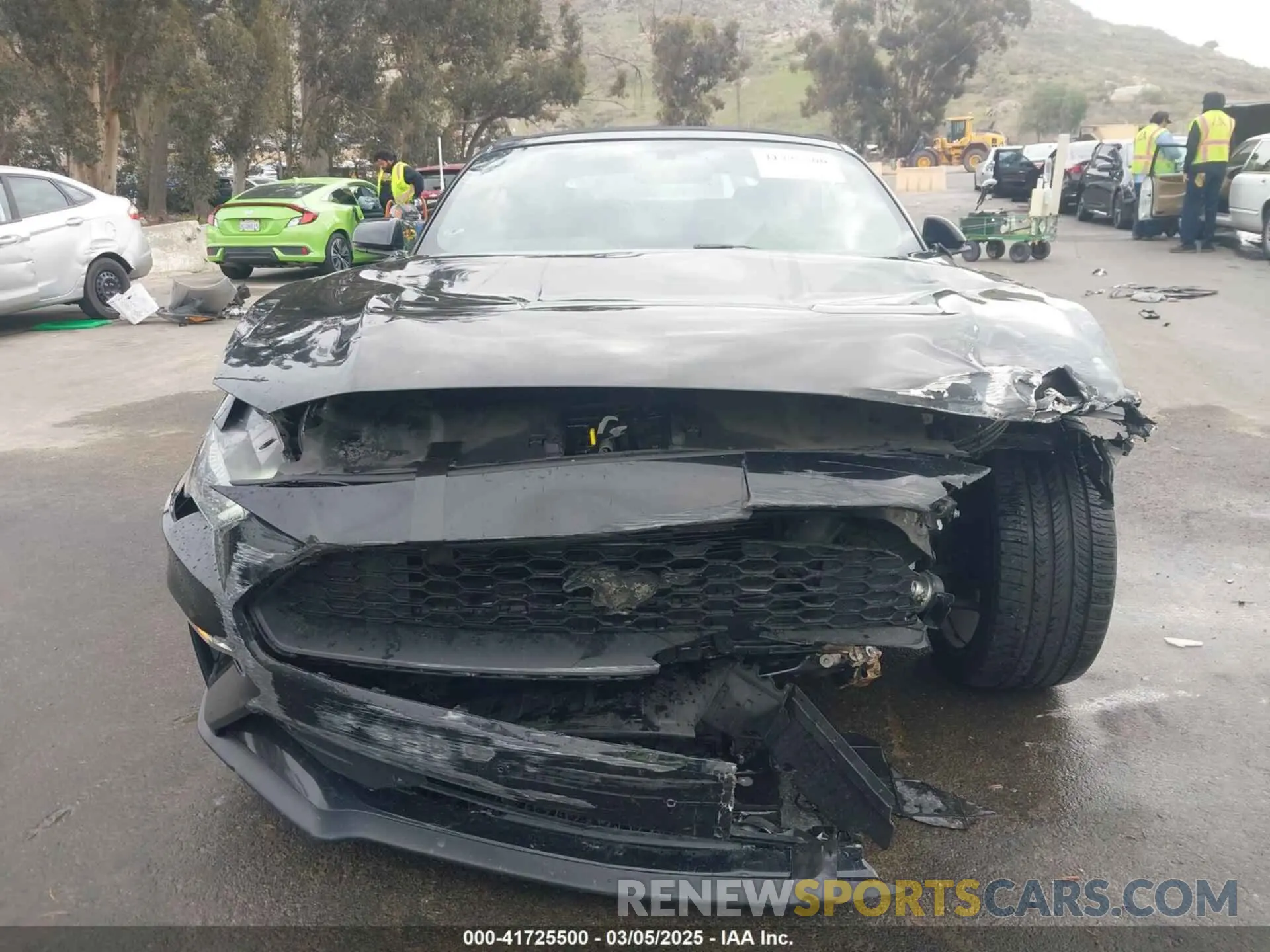 12 Photograph of a damaged car 1FATP8UH6K5109002 FORD MUSTANG 2019