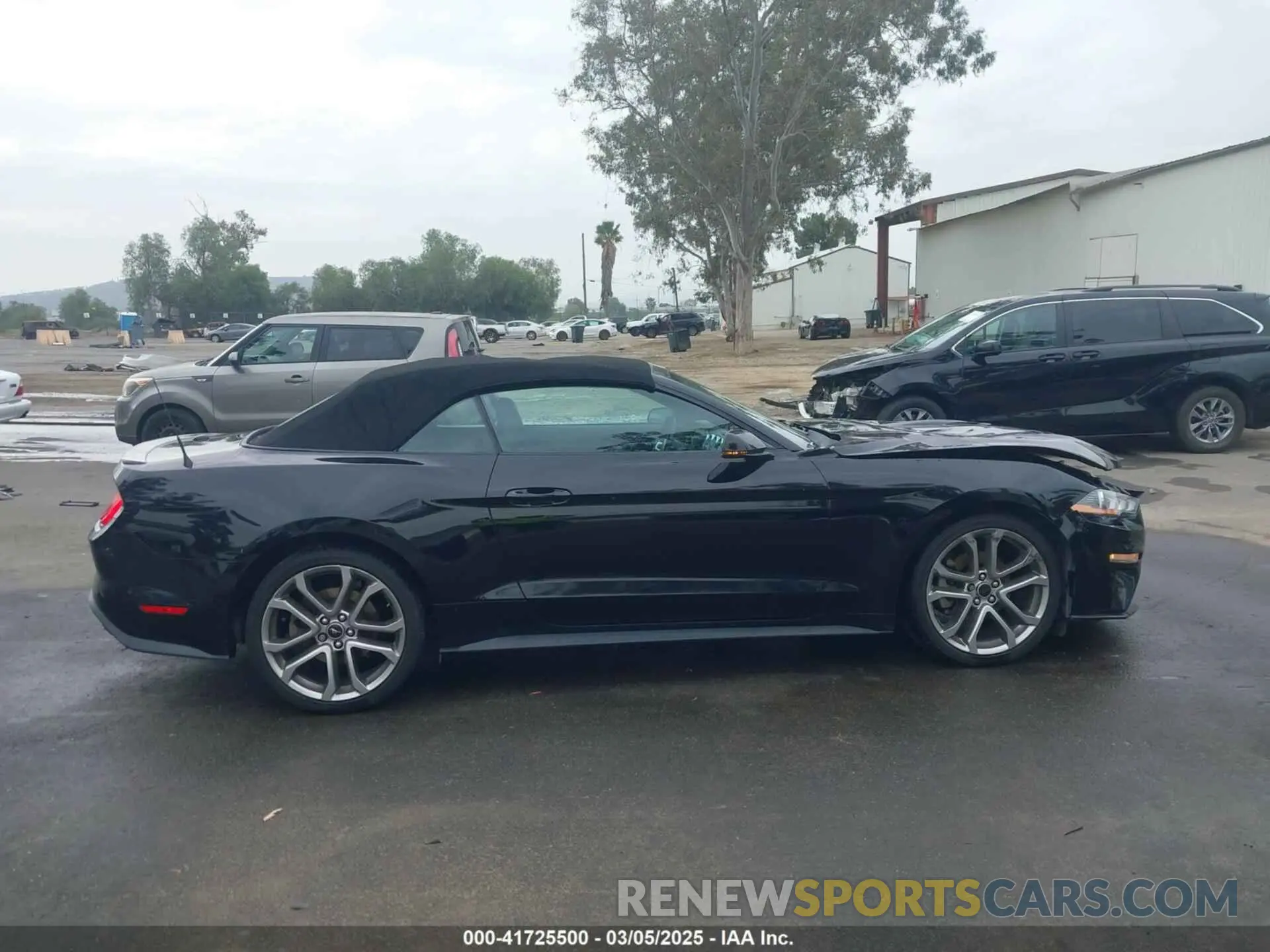 13 Photograph of a damaged car 1FATP8UH6K5109002 FORD MUSTANG 2019
