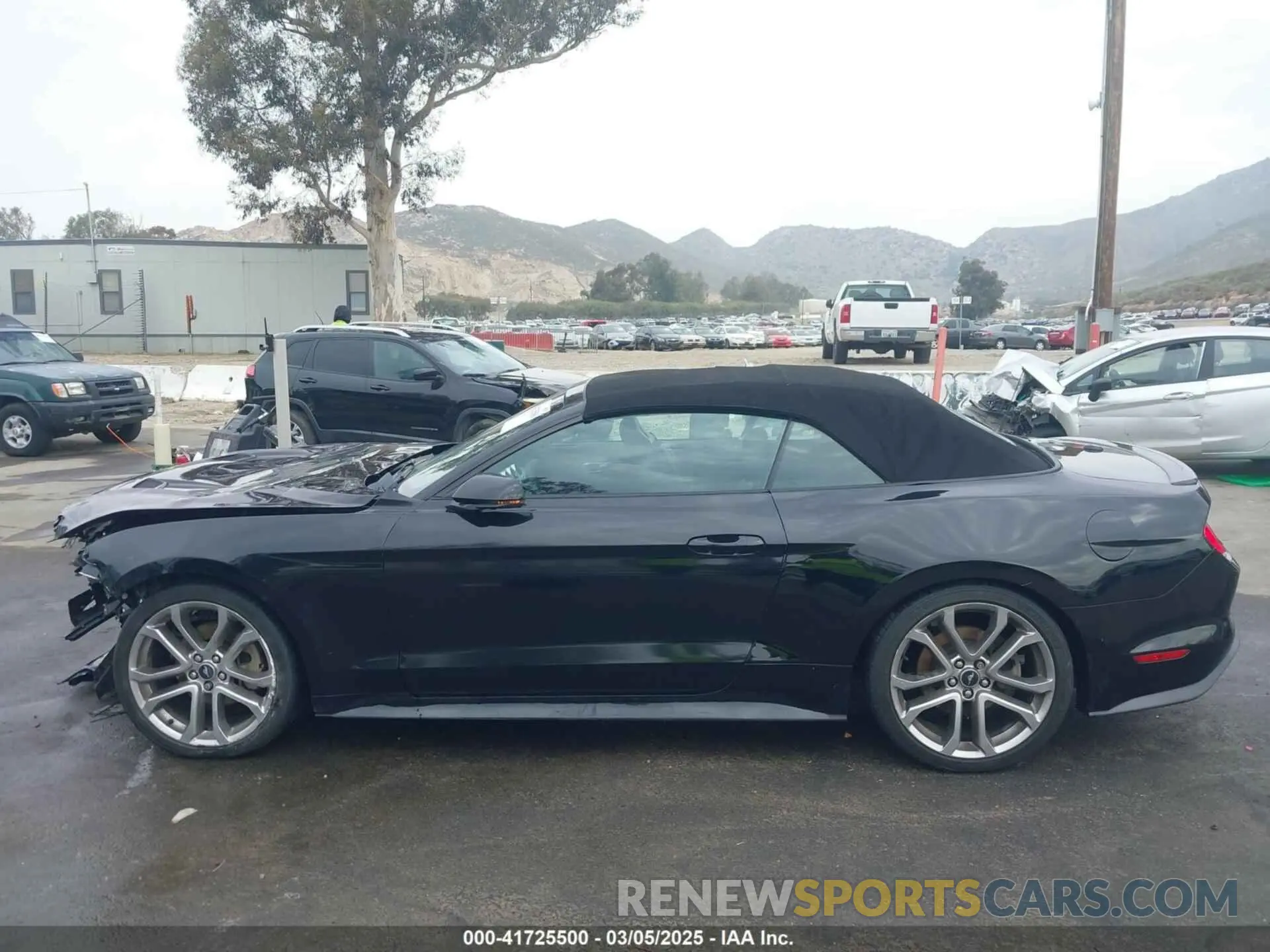 14 Photograph of a damaged car 1FATP8UH6K5109002 FORD MUSTANG 2019