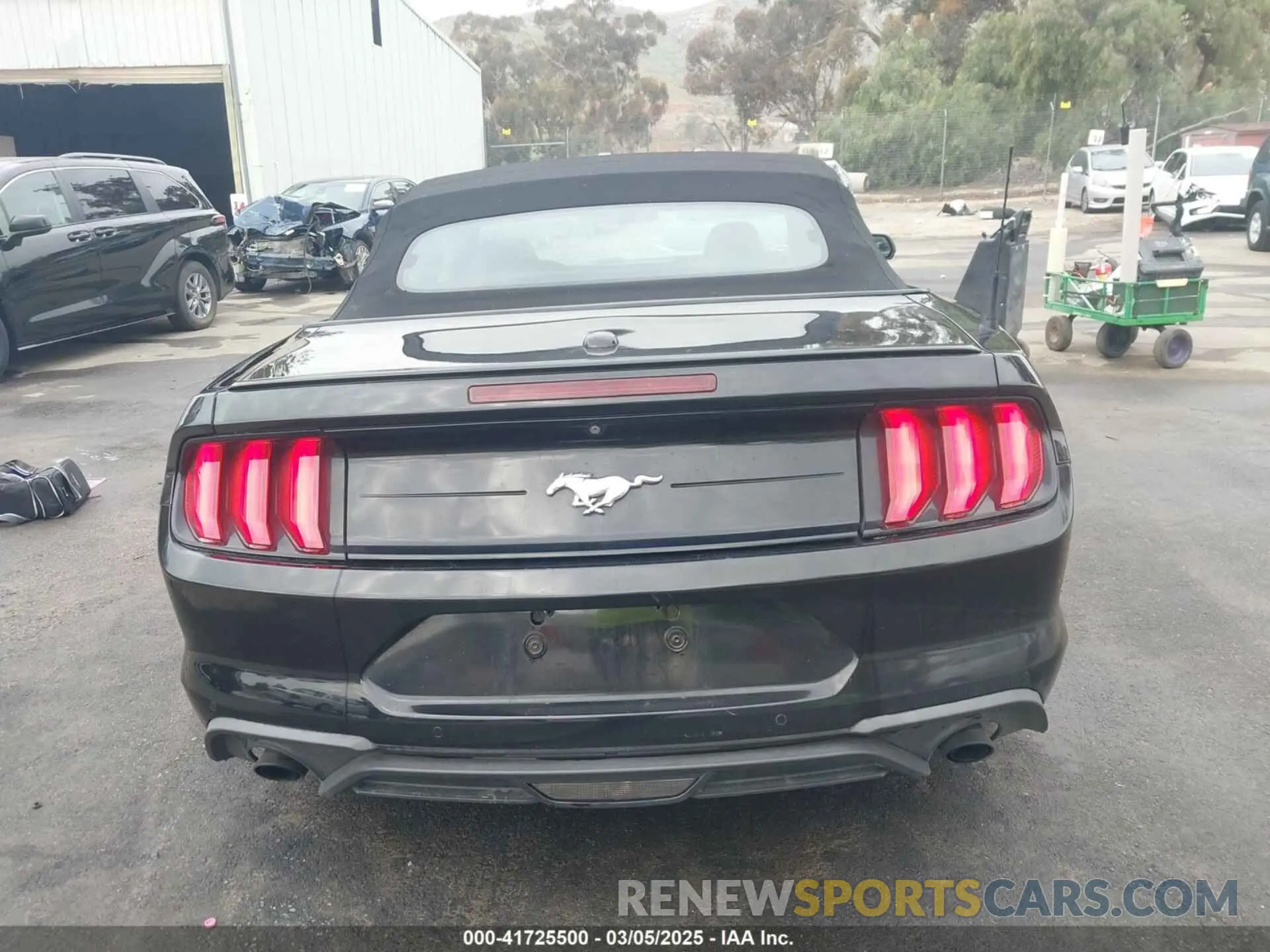 16 Photograph of a damaged car 1FATP8UH6K5109002 FORD MUSTANG 2019