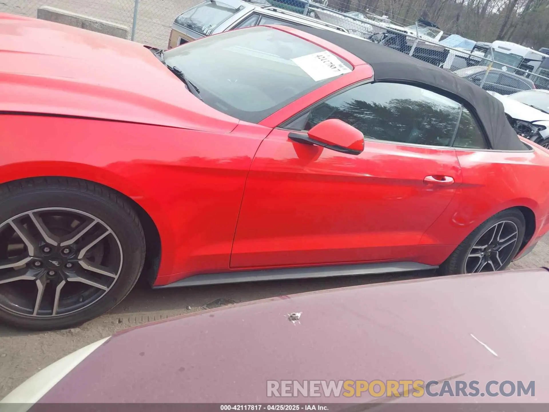 14 Photograph of a damaged car 1FATP8UH6K5138631 FORD MUSTANG 2019