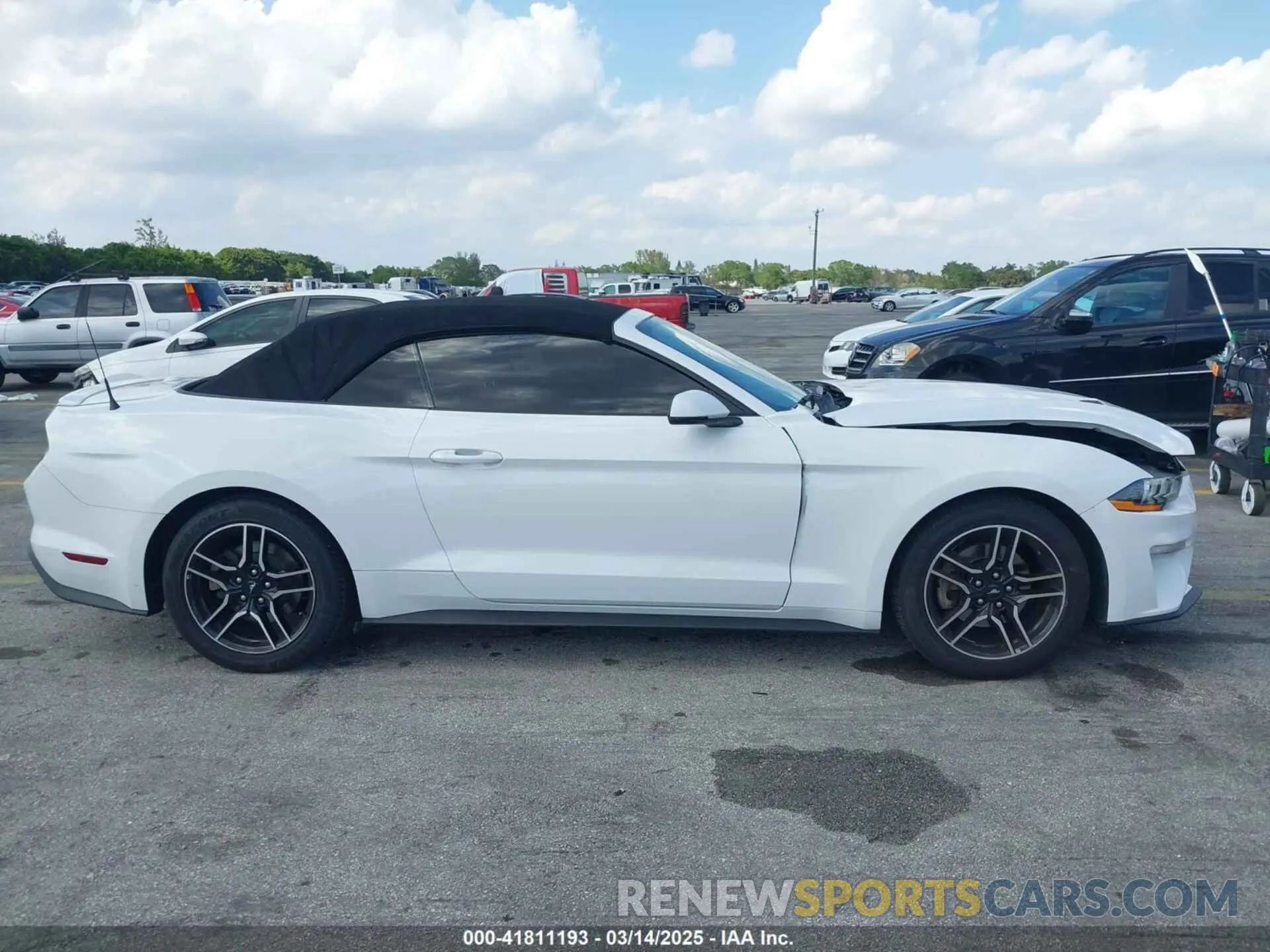 13 Photograph of a damaged car 1FATP8UH8K5138811 FORD MUSTANG 2019