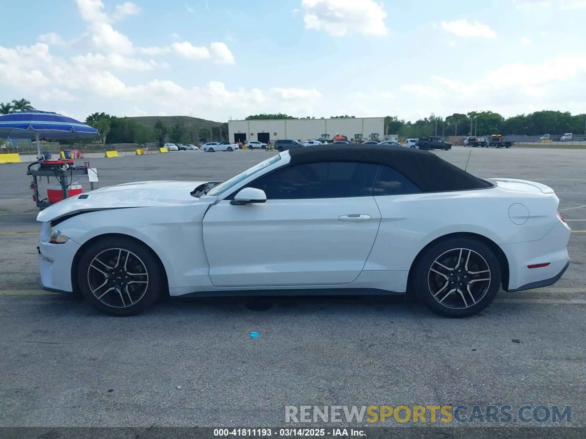 14 Photograph of a damaged car 1FATP8UH8K5138811 FORD MUSTANG 2019