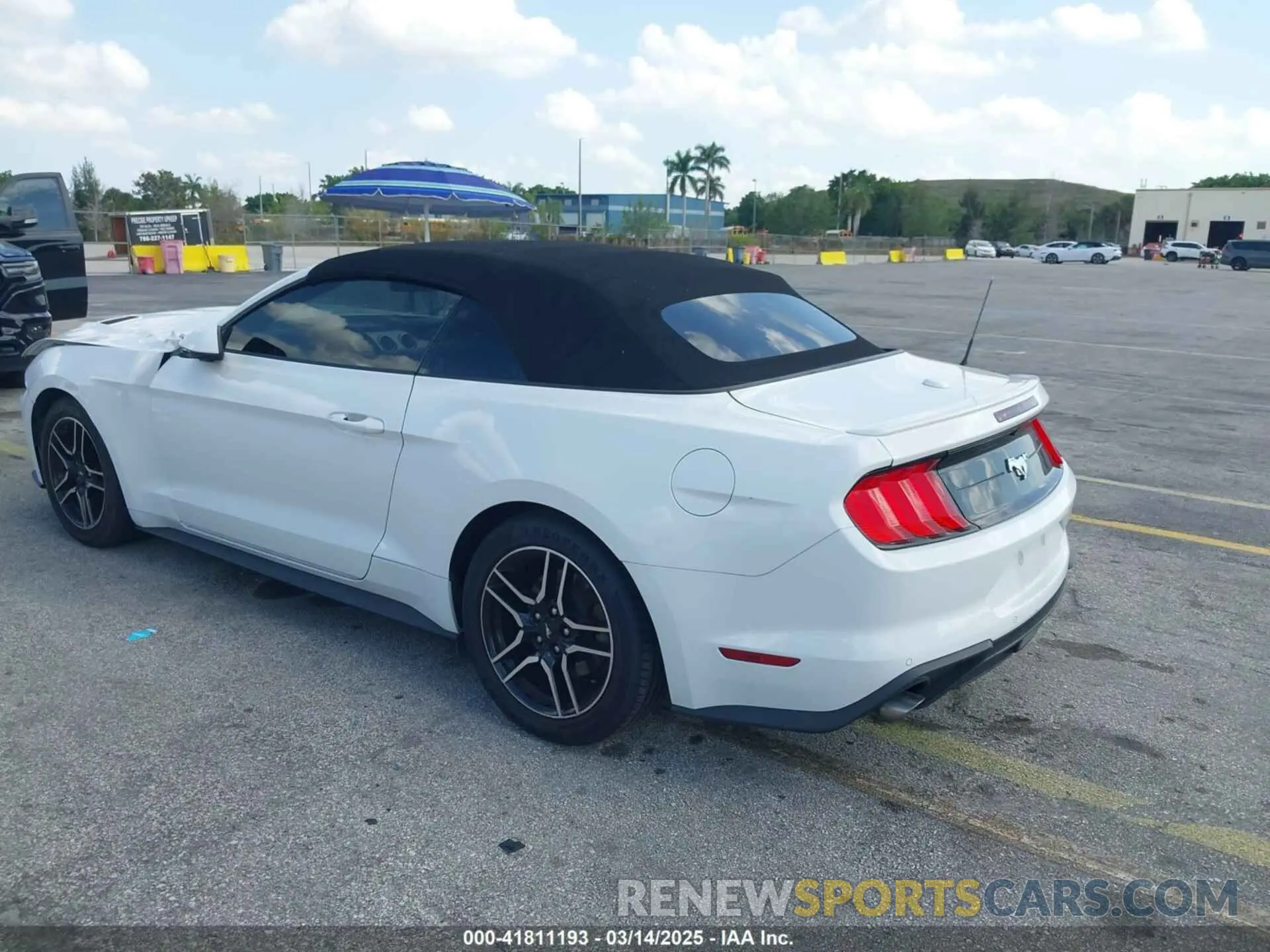 3 Photograph of a damaged car 1FATP8UH8K5138811 FORD MUSTANG 2019