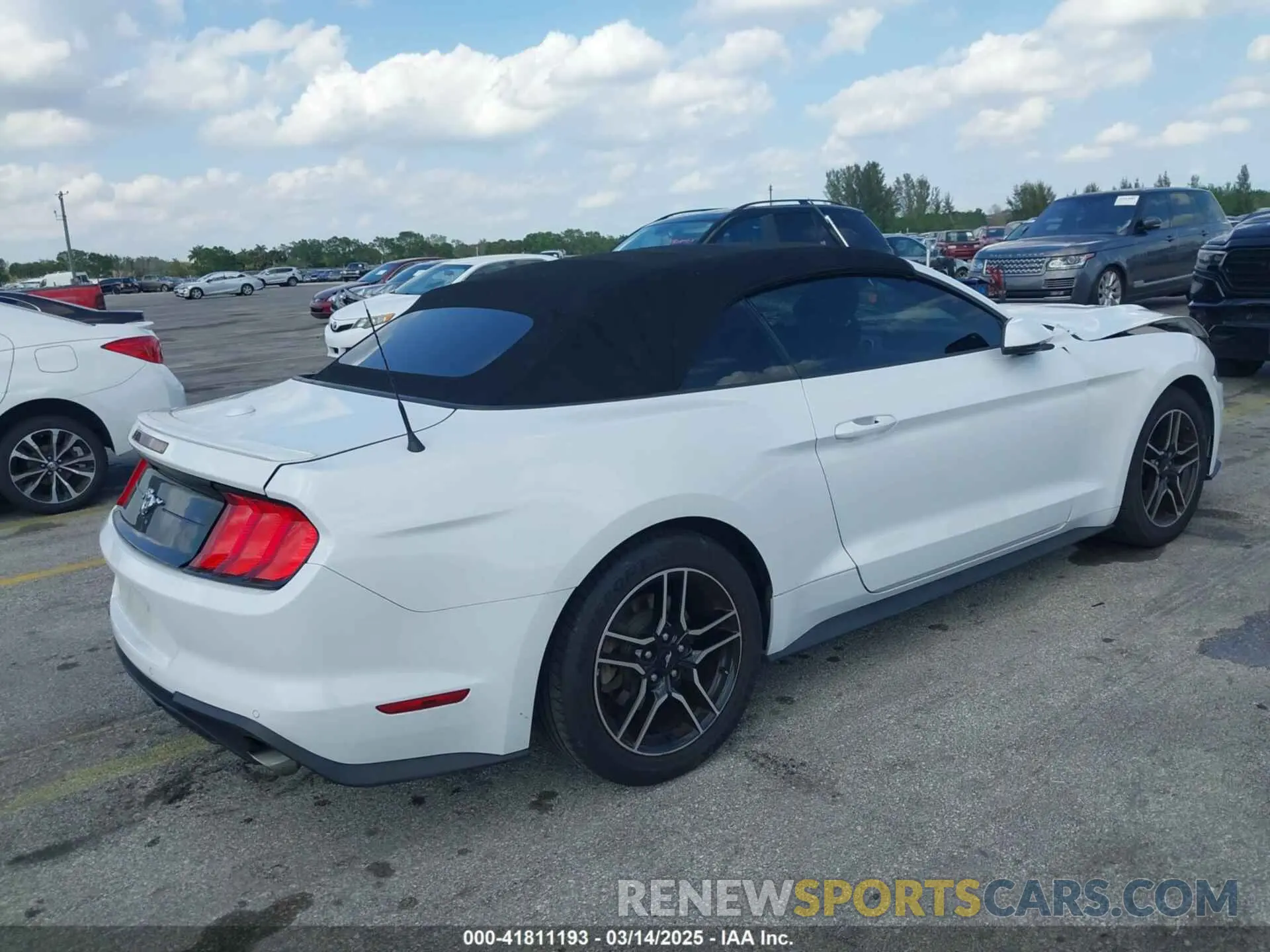 4 Photograph of a damaged car 1FATP8UH8K5138811 FORD MUSTANG 2019
