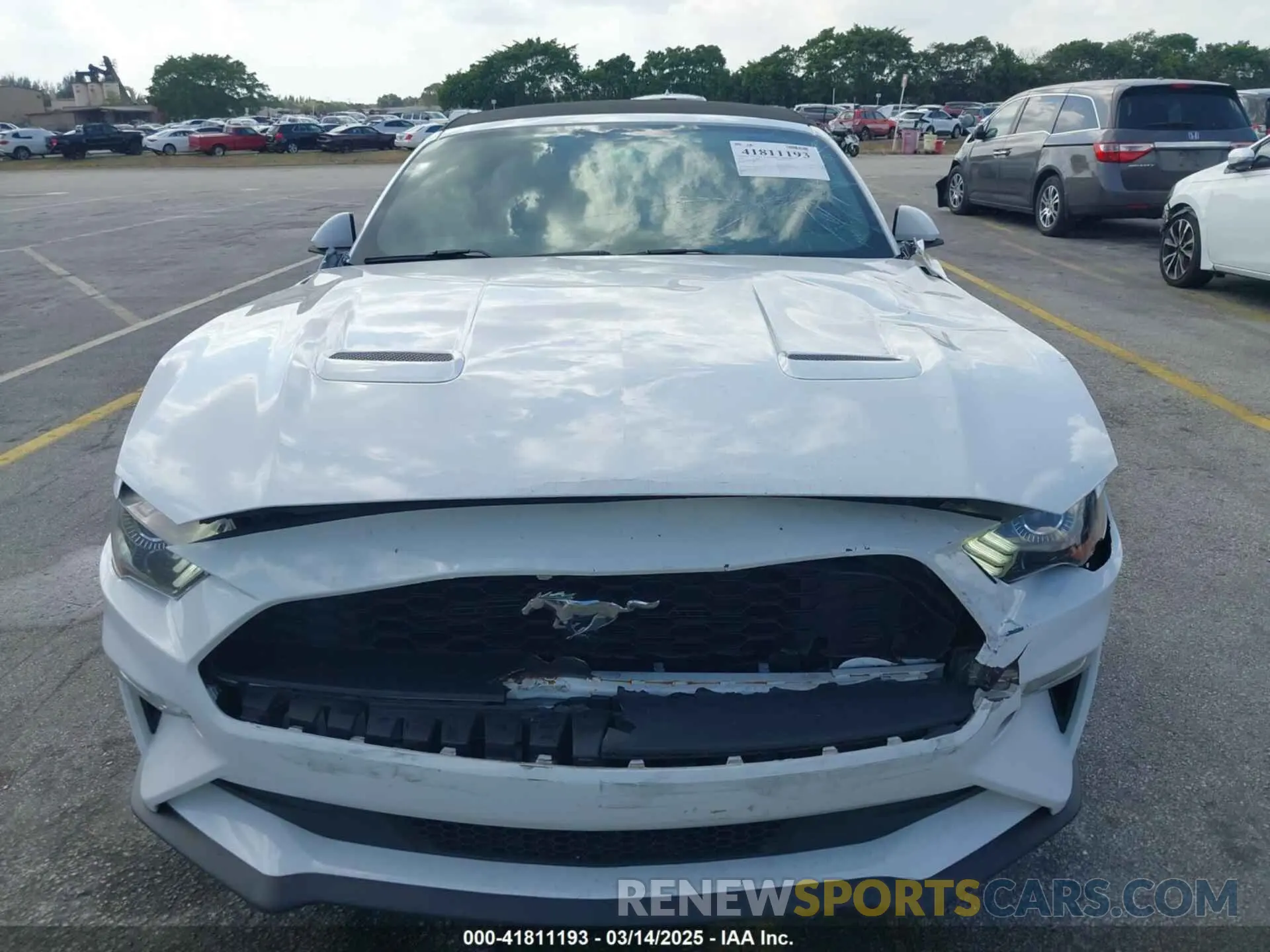 6 Photograph of a damaged car 1FATP8UH8K5138811 FORD MUSTANG 2019