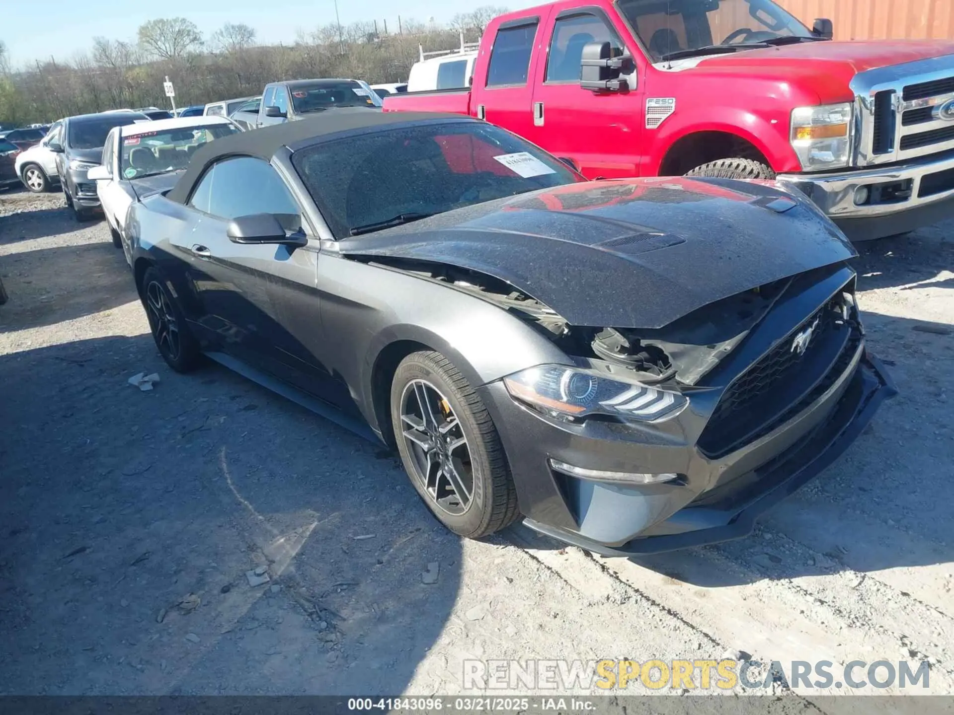 1 Photograph of a damaged car 1FATP8UH8K5151266 FORD MUSTANG 2019