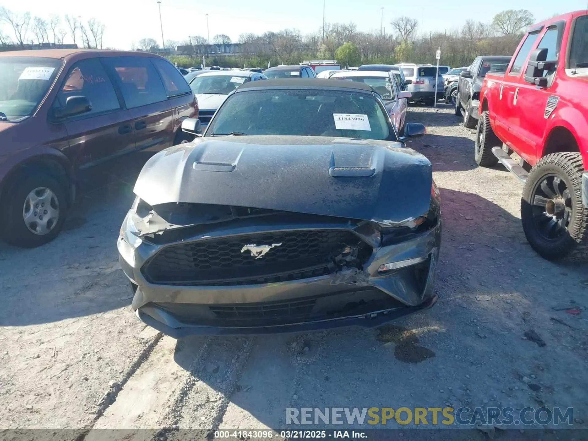 11 Photograph of a damaged car 1FATP8UH8K5151266 FORD MUSTANG 2019