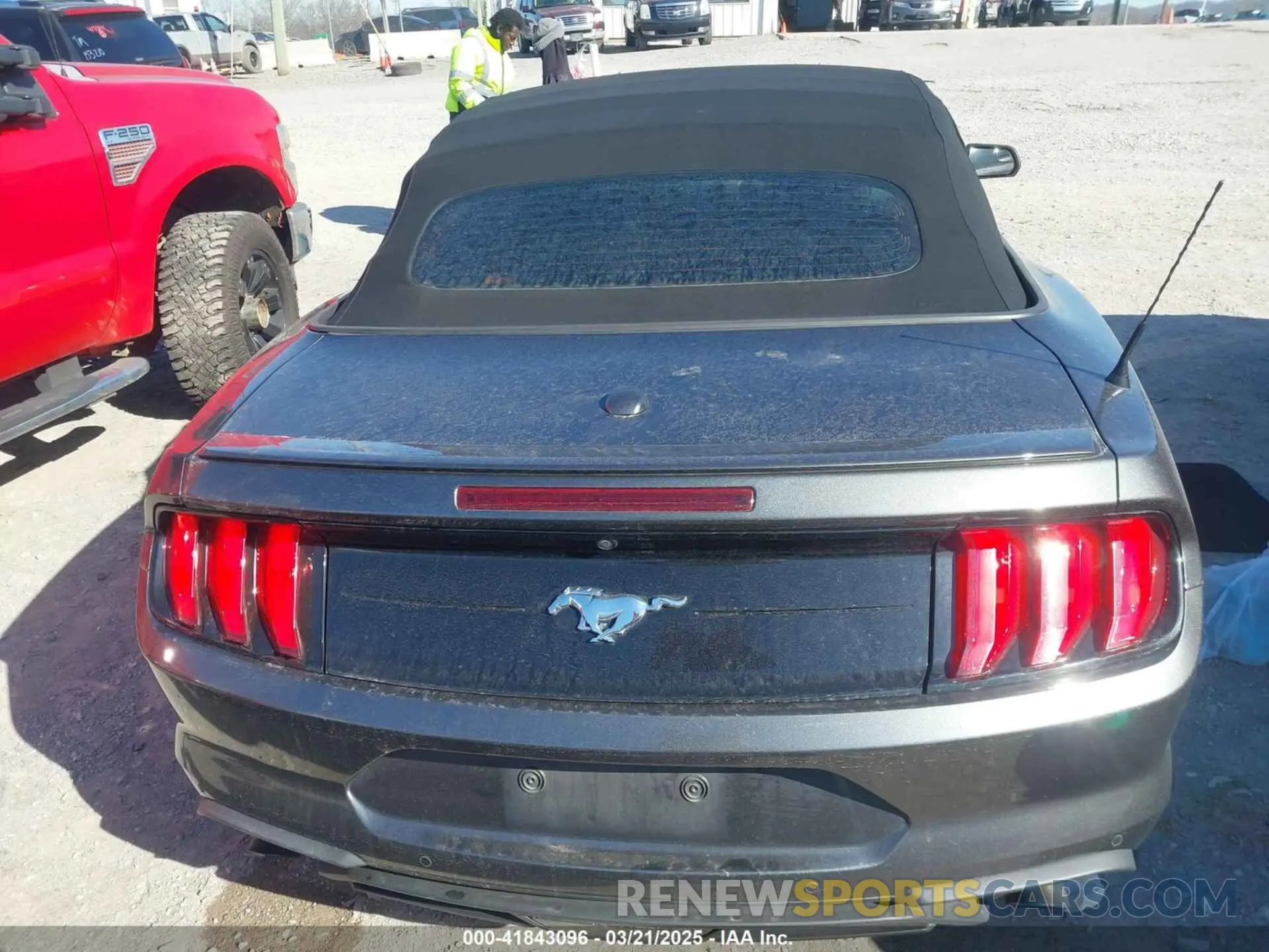 15 Photograph of a damaged car 1FATP8UH8K5151266 FORD MUSTANG 2019