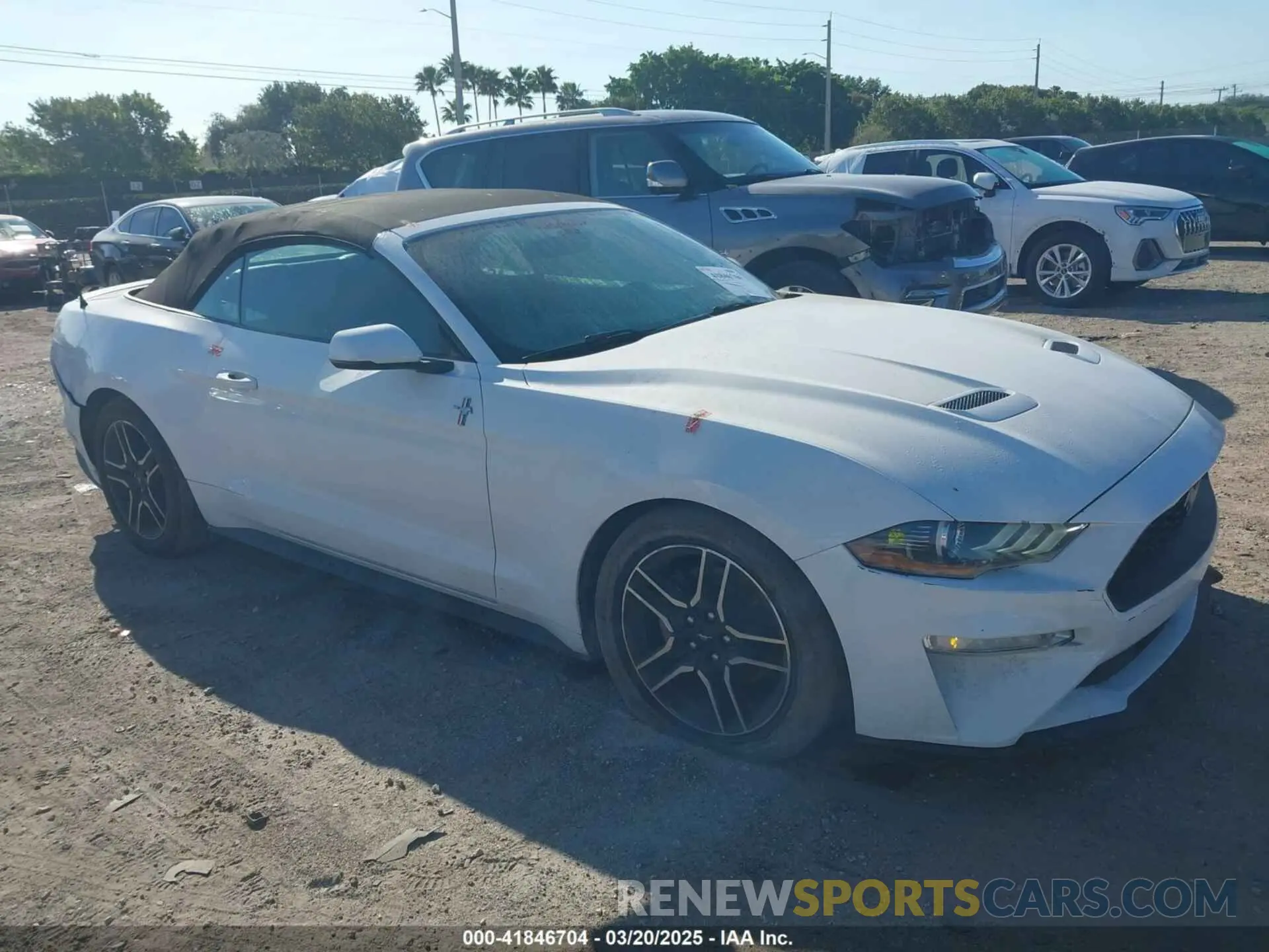1 Photograph of a damaged car 1FATP8UH8K5162526 FORD MUSTANG 2019