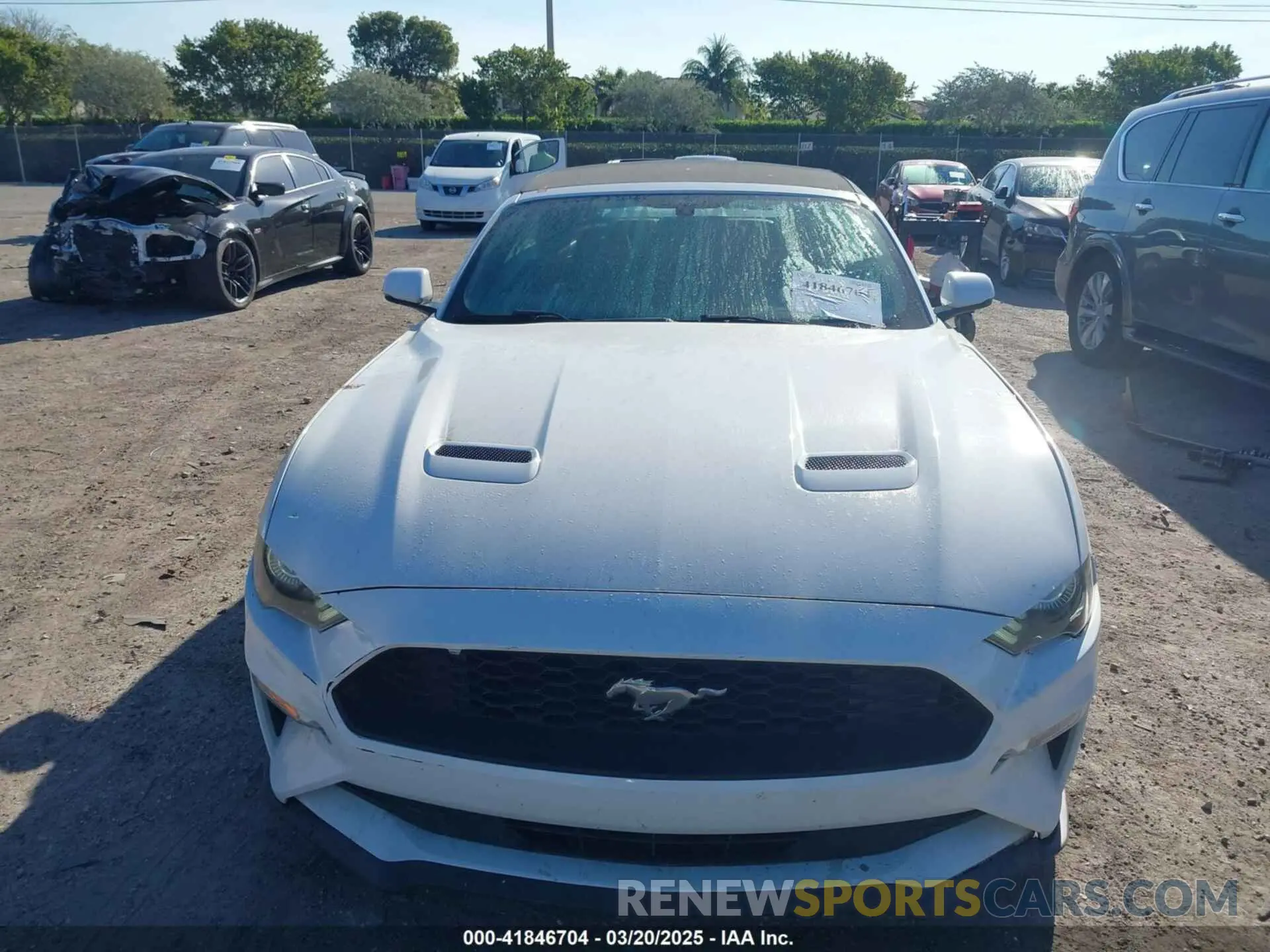13 Photograph of a damaged car 1FATP8UH8K5162526 FORD MUSTANG 2019