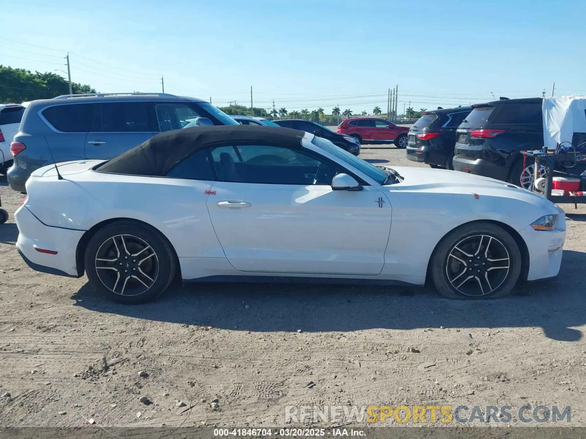 14 Photograph of a damaged car 1FATP8UH8K5162526 FORD MUSTANG 2019