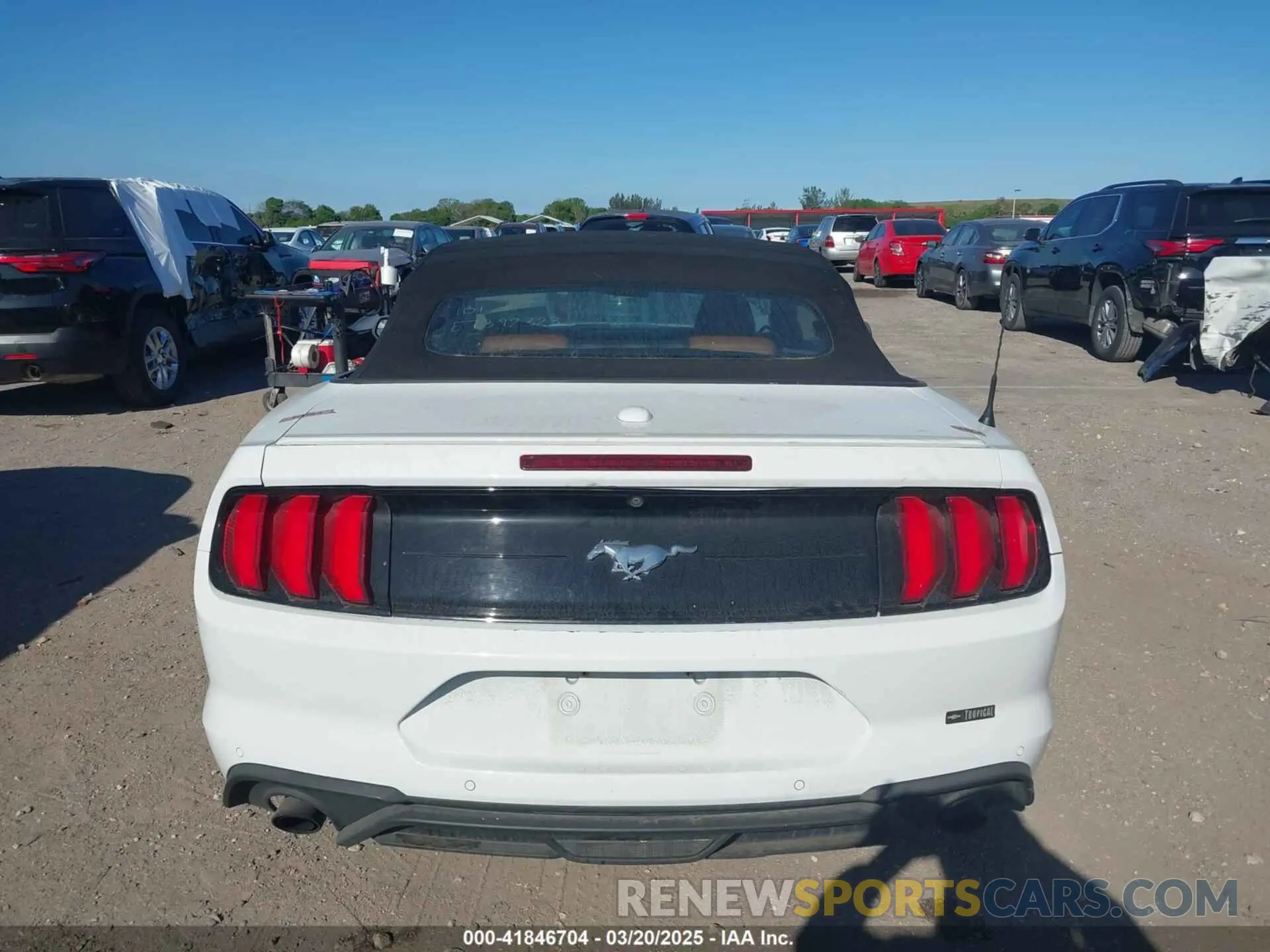 17 Photograph of a damaged car 1FATP8UH8K5162526 FORD MUSTANG 2019