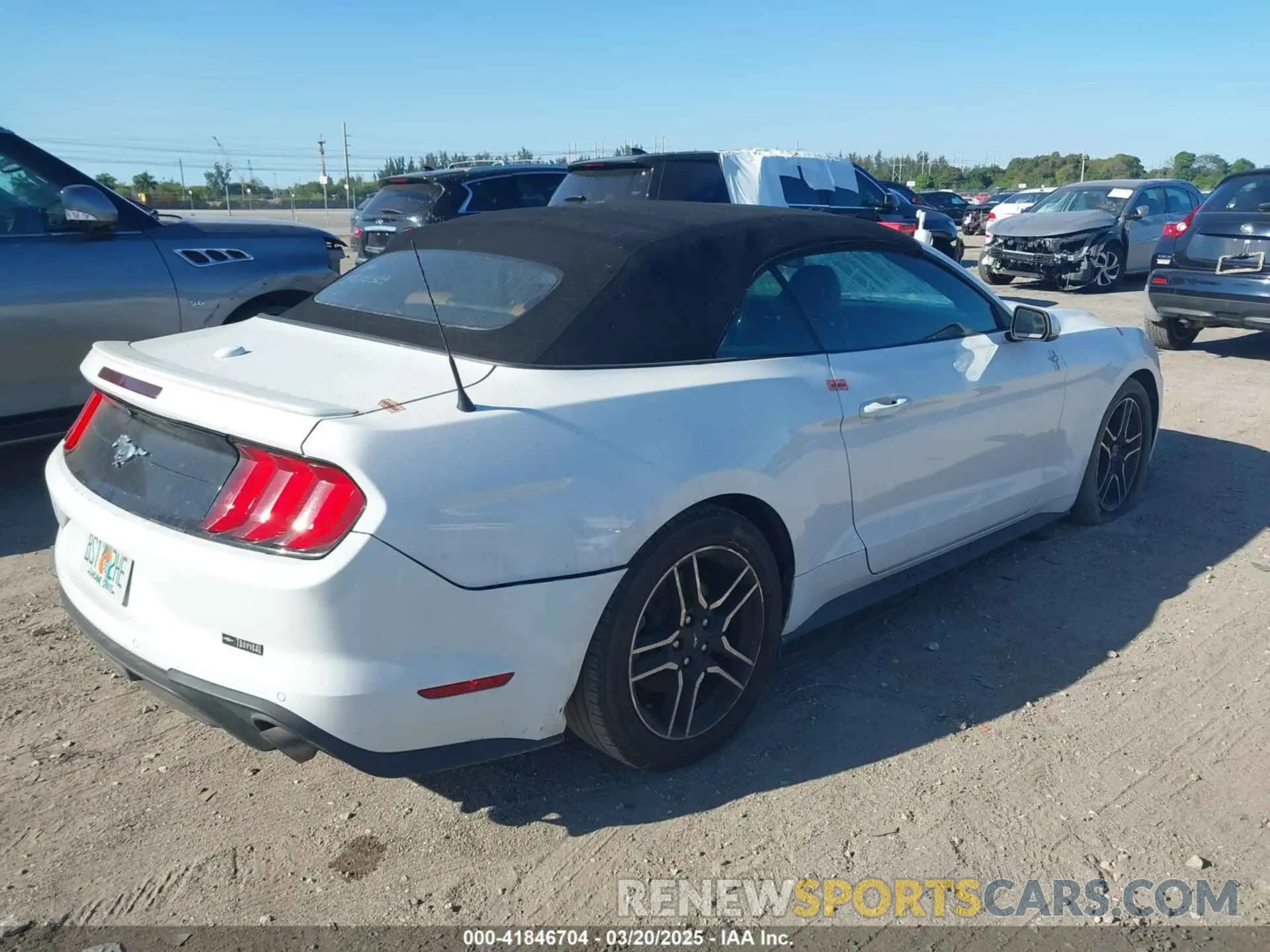 4 Photograph of a damaged car 1FATP8UH8K5162526 FORD MUSTANG 2019