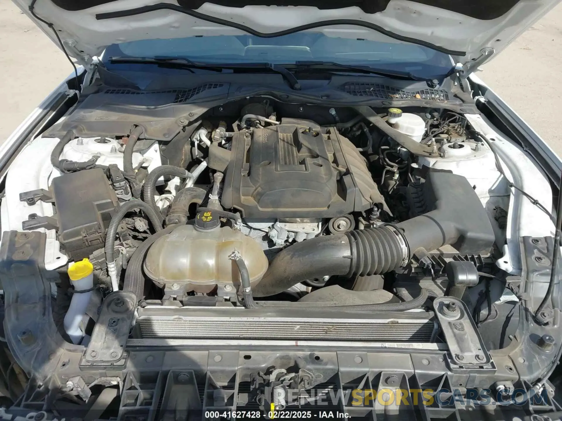 10 Photograph of a damaged car 1FATP8UH8K5188379 FORD MUSTANG 2019
