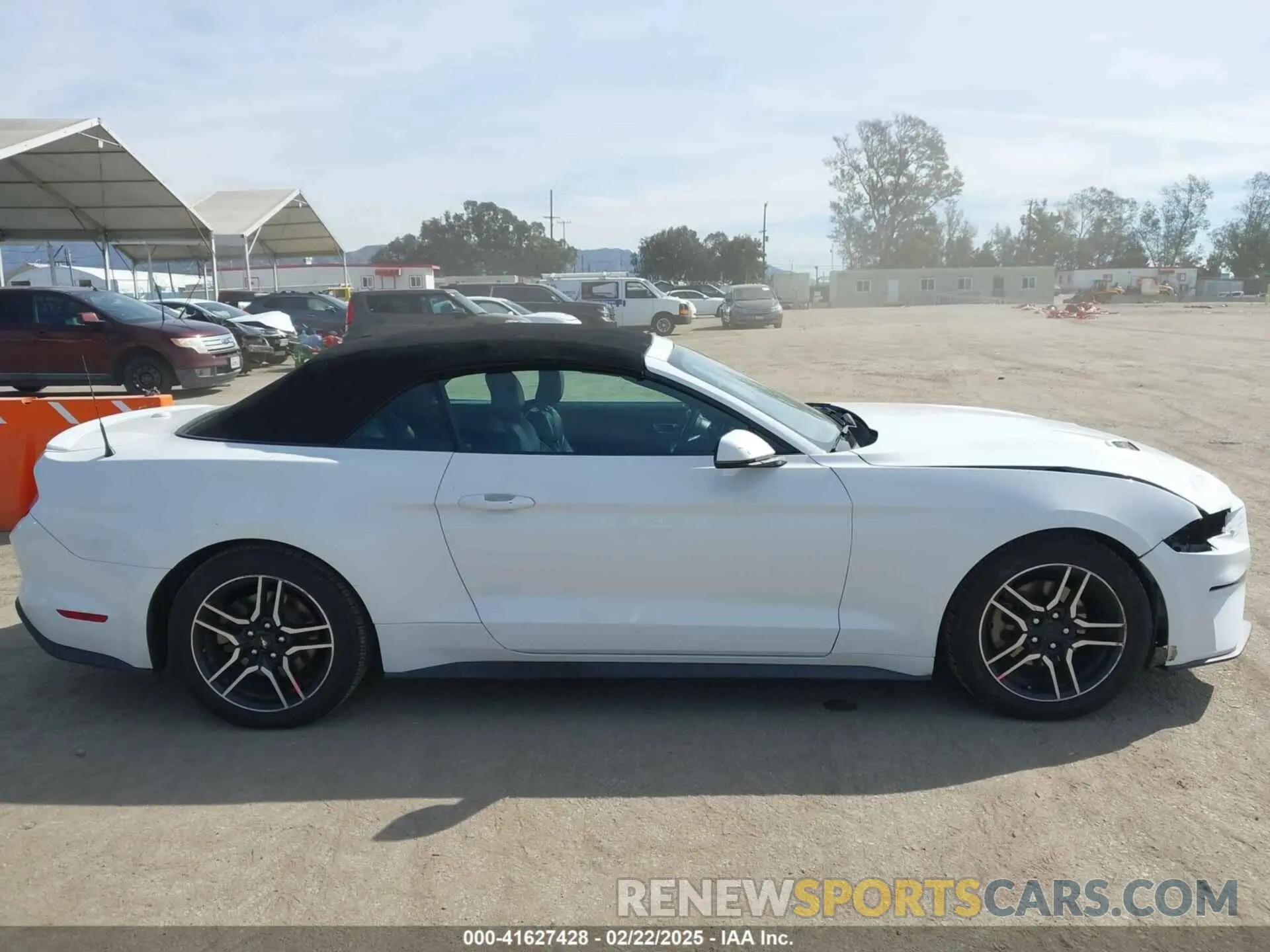 14 Photograph of a damaged car 1FATP8UH8K5188379 FORD MUSTANG 2019