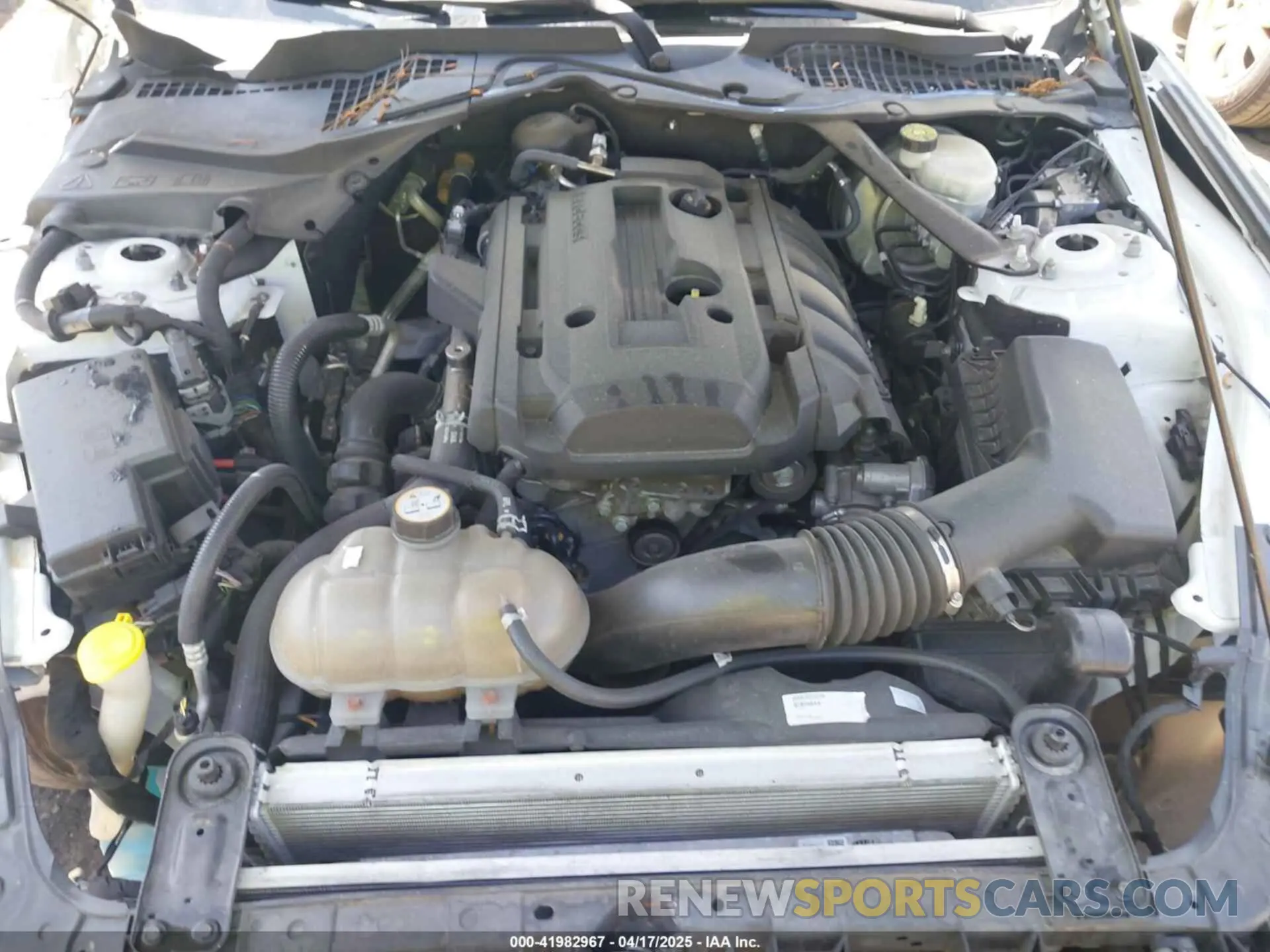 10 Photograph of a damaged car 1FATP8UH9K5158484 FORD MUSTANG 2019