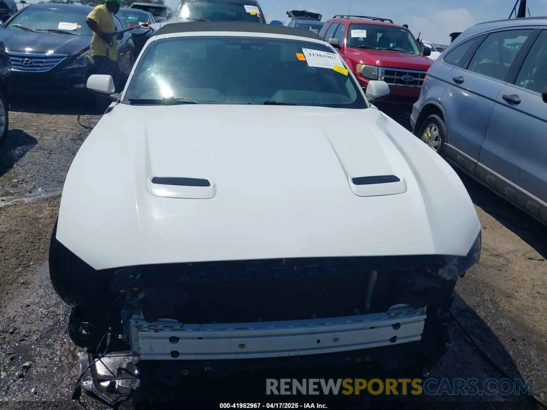 13 Photograph of a damaged car 1FATP8UH9K5158484 FORD MUSTANG 2019