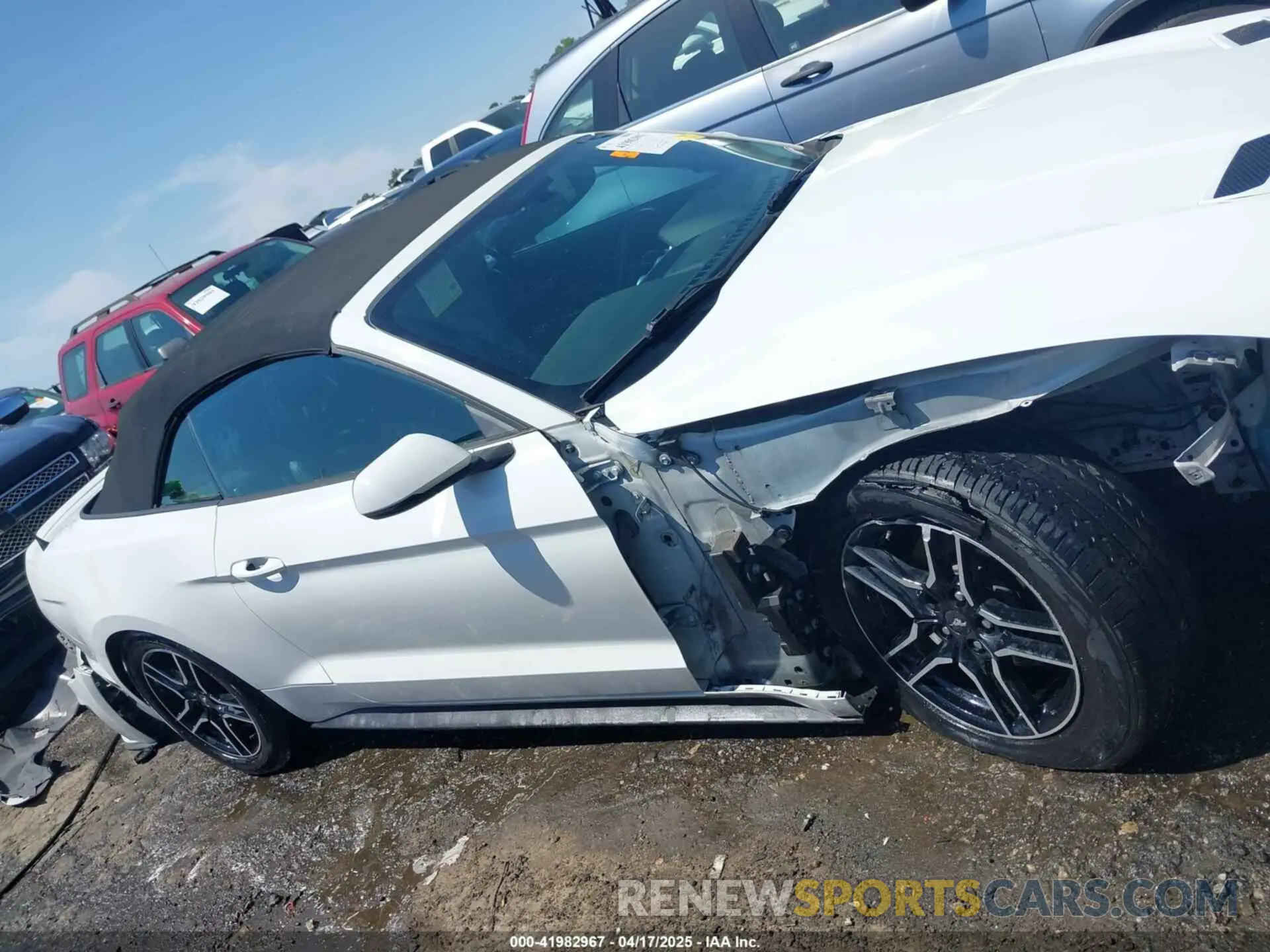 14 Photograph of a damaged car 1FATP8UH9K5158484 FORD MUSTANG 2019