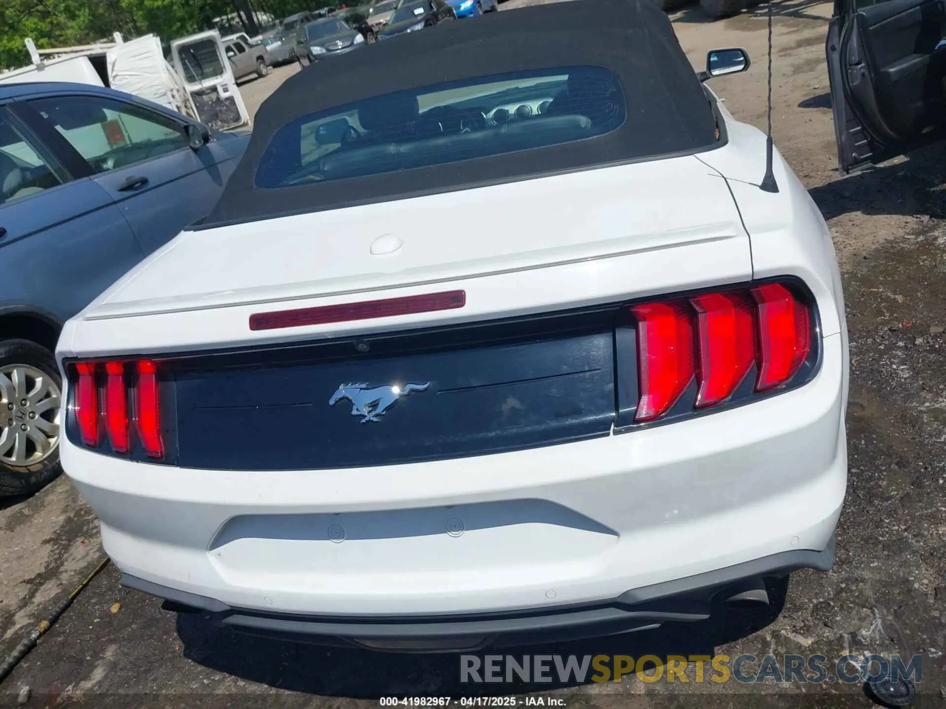 17 Photograph of a damaged car 1FATP8UH9K5158484 FORD MUSTANG 2019
