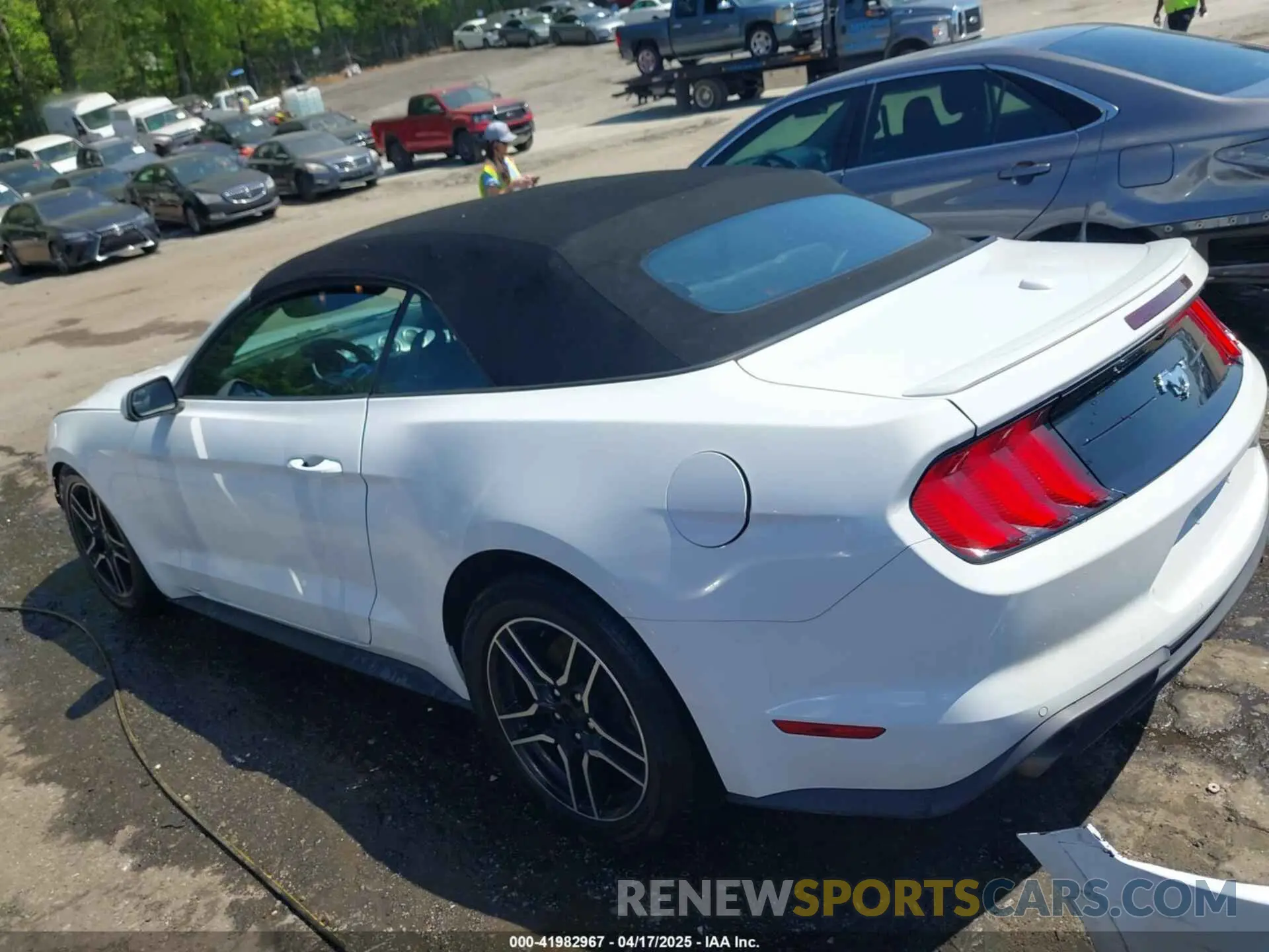 3 Photograph of a damaged car 1FATP8UH9K5158484 FORD MUSTANG 2019