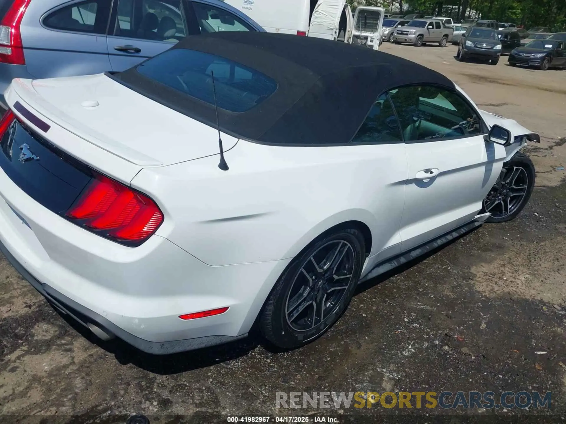 4 Photograph of a damaged car 1FATP8UH9K5158484 FORD MUSTANG 2019