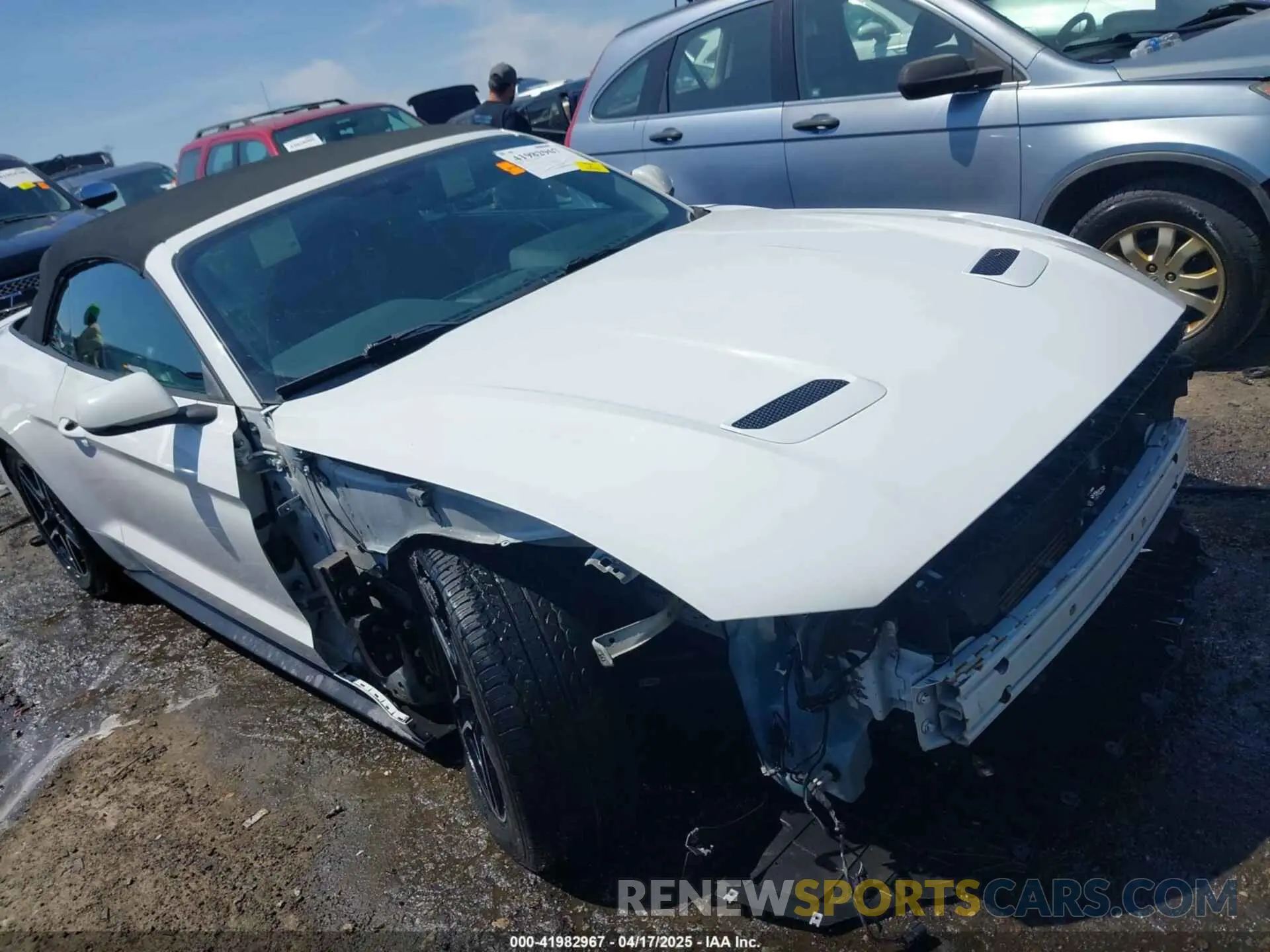 6 Photograph of a damaged car 1FATP8UH9K5158484 FORD MUSTANG 2019