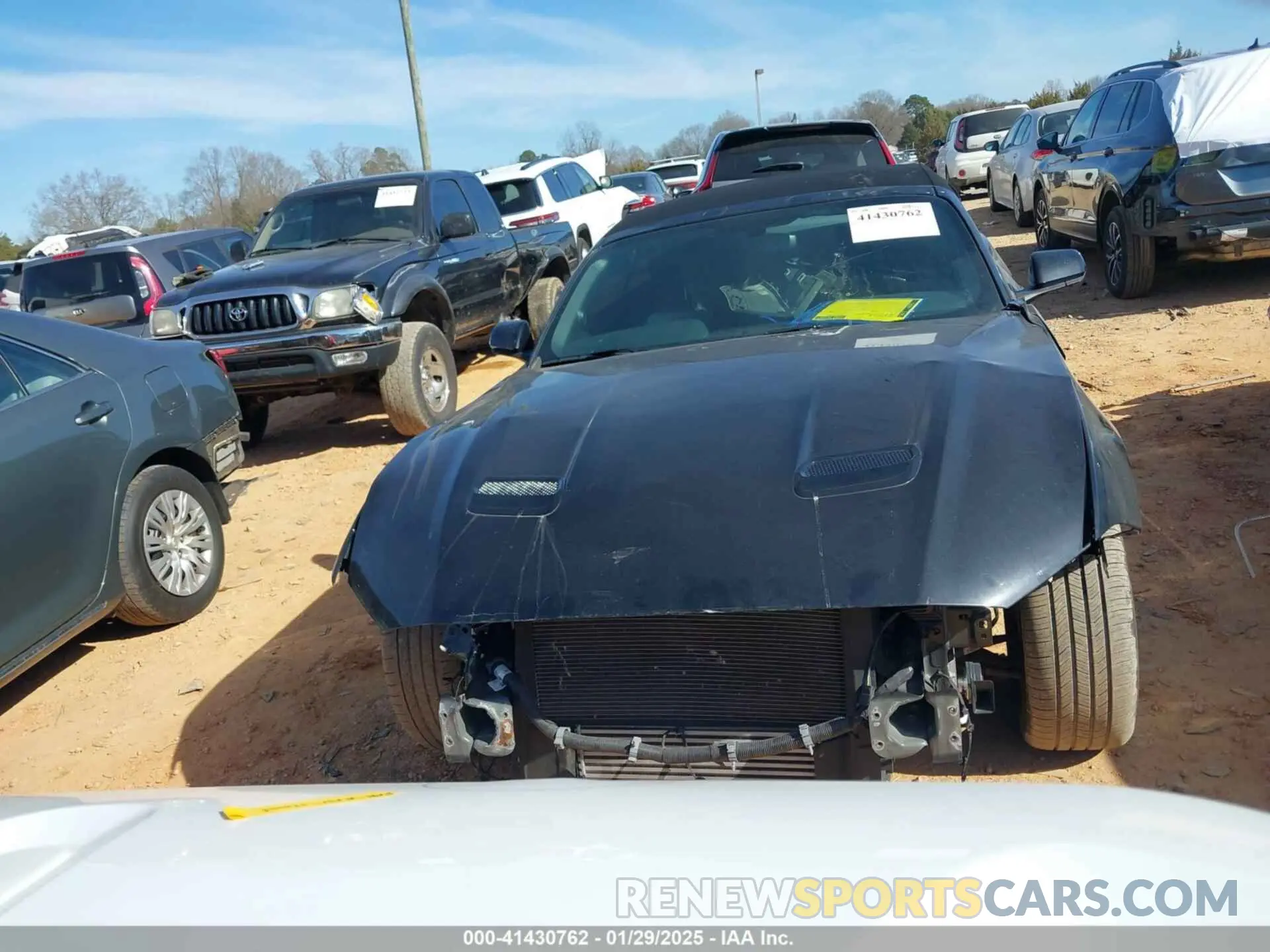 13 Photograph of a damaged car 1FATP8UH9K5193803 FORD MUSTANG 2019
