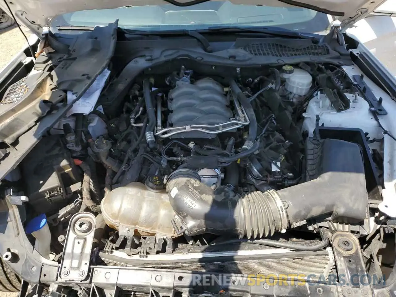 11 Photograph of a damaged car 1FA6P8CF0L5153723 FORD MUSTANG 2020