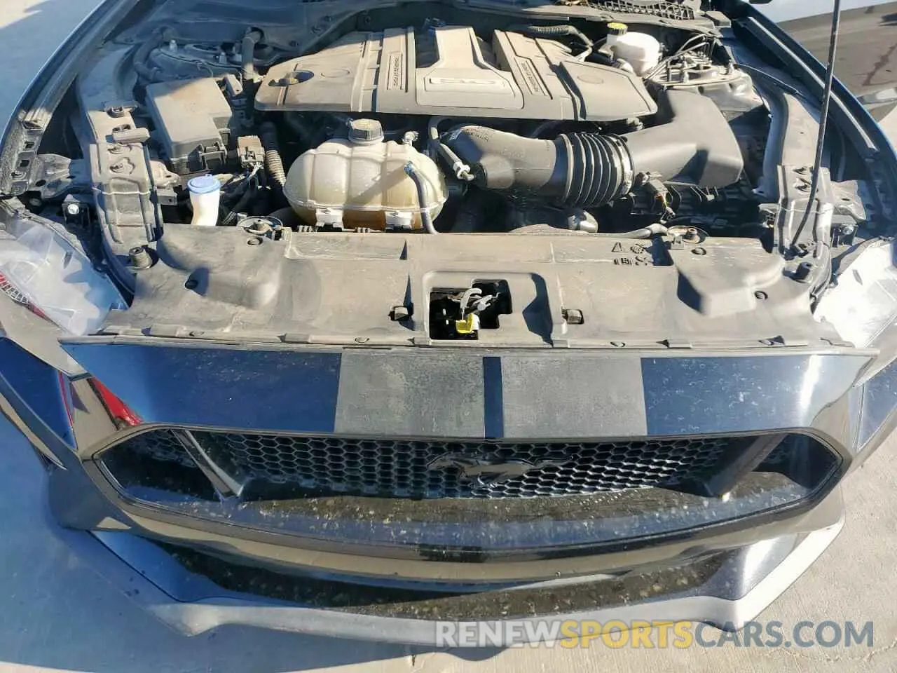 11 Photograph of a damaged car 1FA6P8CF1L5186908 FORD MUSTANG 2020