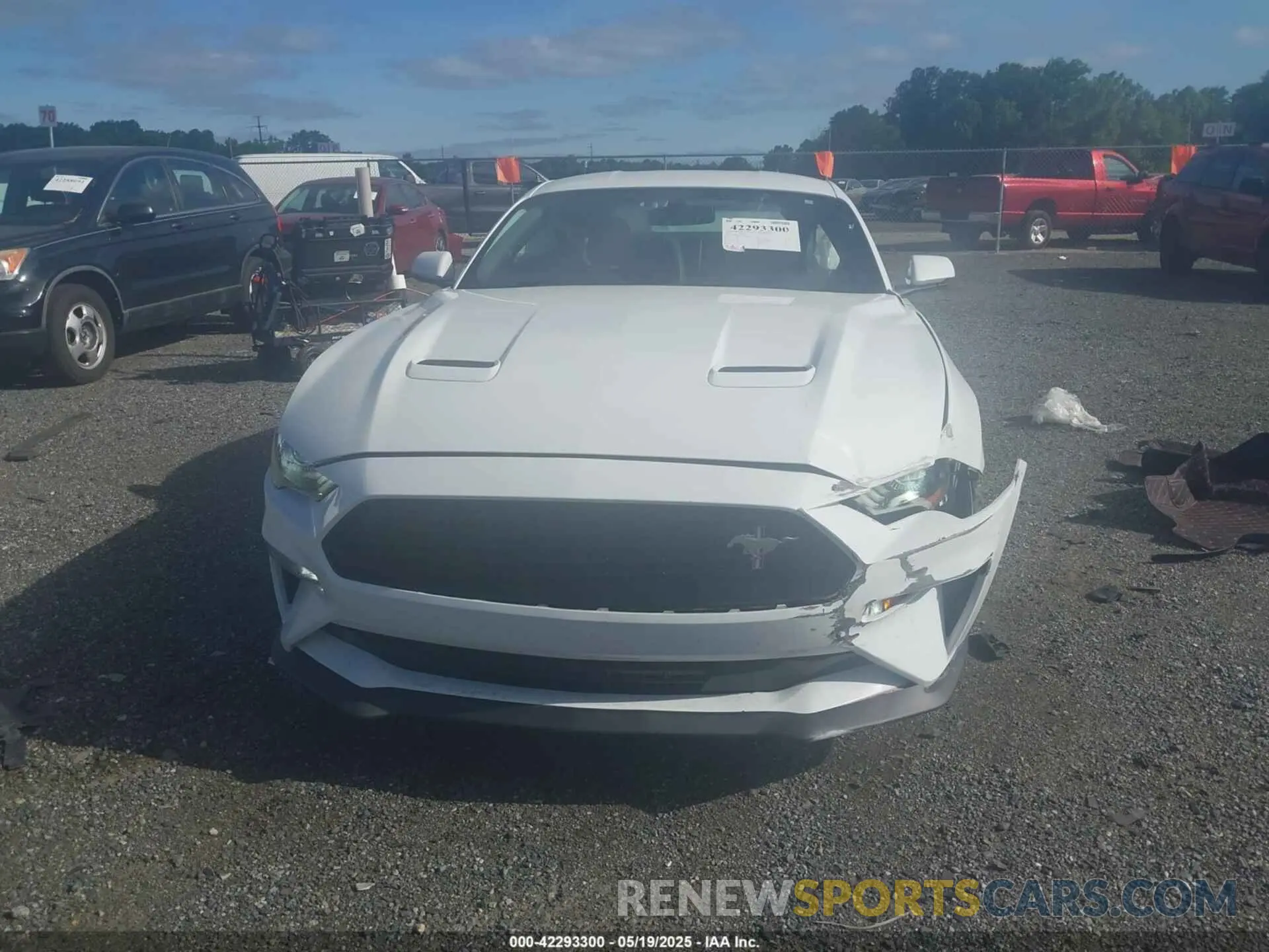 12 Photograph of a damaged car 1FA6P8CF2L5114664 FORD MUSTANG 2020