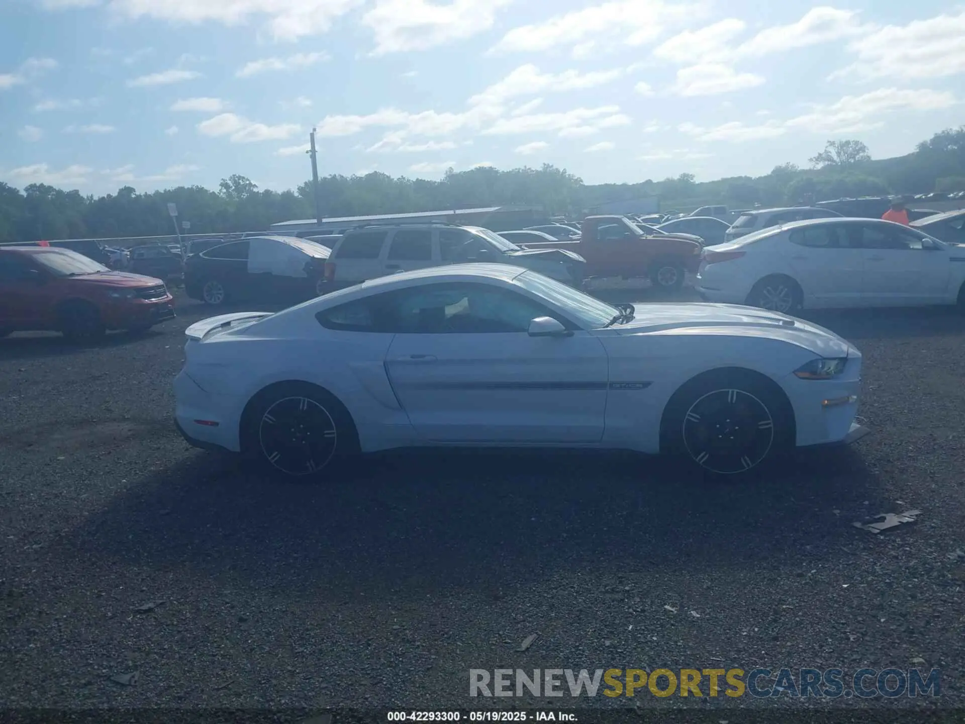 13 Photograph of a damaged car 1FA6P8CF2L5114664 FORD MUSTANG 2020
