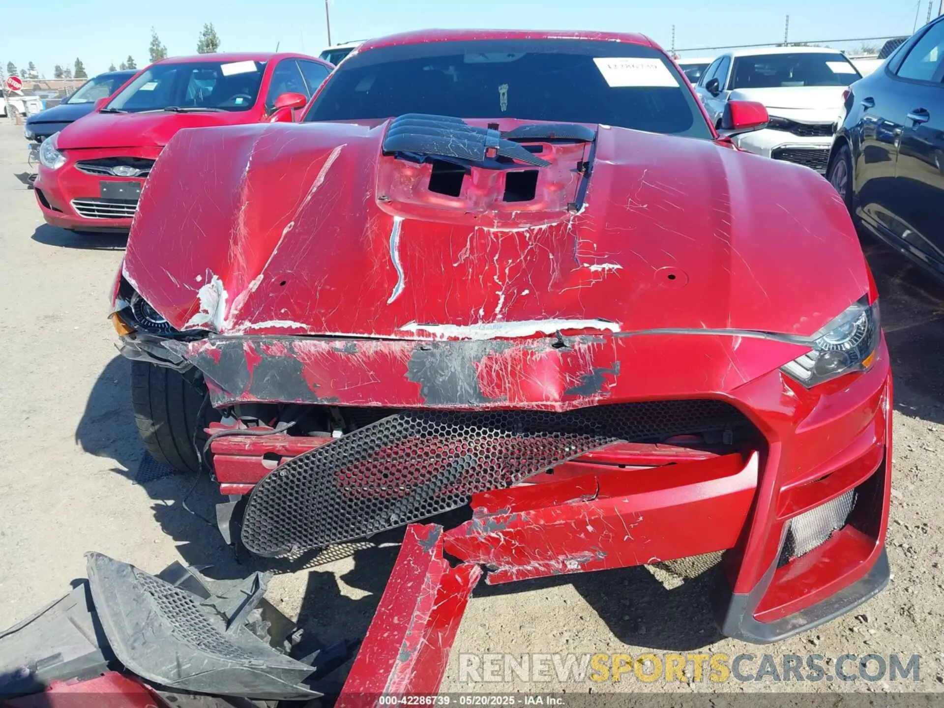 12 Photograph of a damaged car 1FA6P8CF2L5177375 FORD MUSTANG 2020