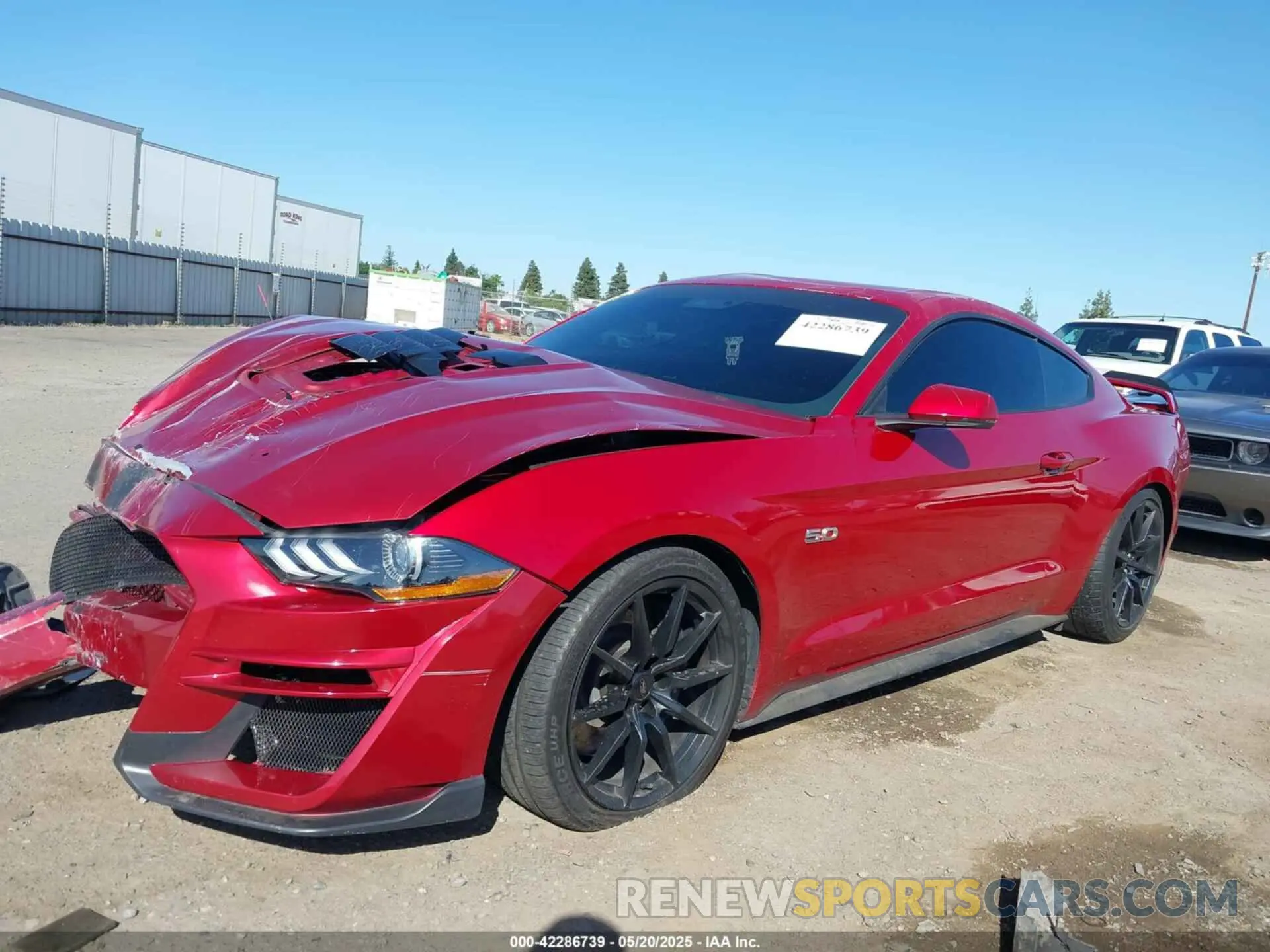 14 Photograph of a damaged car 1FA6P8CF2L5177375 FORD MUSTANG 2020